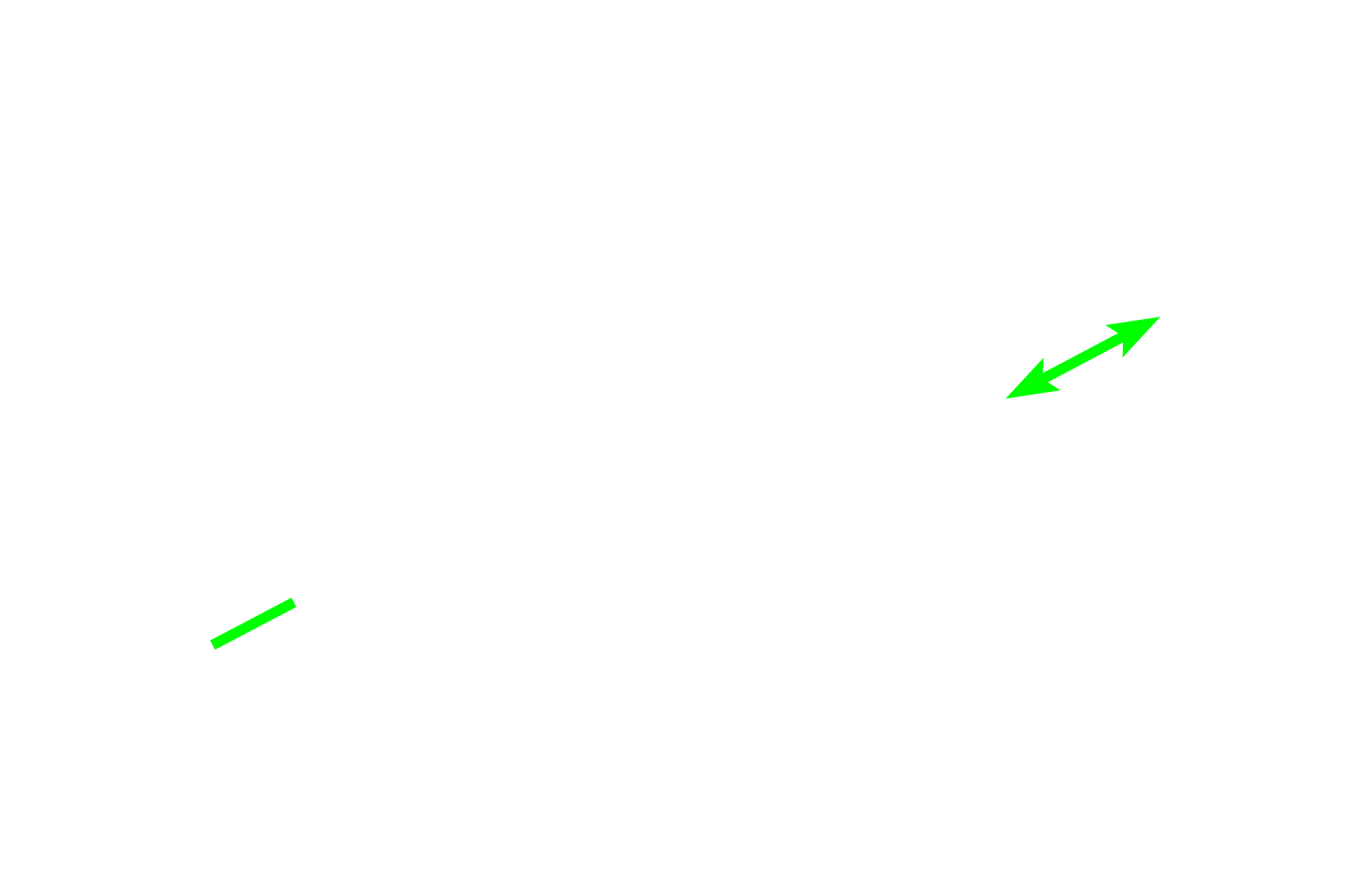 Vascular papillae <p>This image shows the dermal-epidermal junction with downwardly-directed epidermal pegs (ridges) and upwardly-directed dermal papilla.  Meissner’s corpuscles are located at the apex of sensory dermal papillae and provide fine touch discrimination.  Other dermal papillae, called vascular papillae, contain small blood vessels.  800x  </p>

