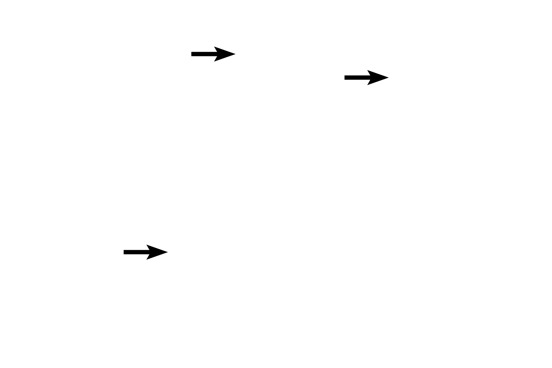Sebaceous glands <p>Elastic cartilage, continuous with that of the auricle, supports the auditory meatus in its outer third, while the support of the inner two-thirds is provided by the temporal bone. Typical thin skin, possessing many hairs, sebaceous and ceruminous glands, lines the external auditory meatus. 40x</p>
