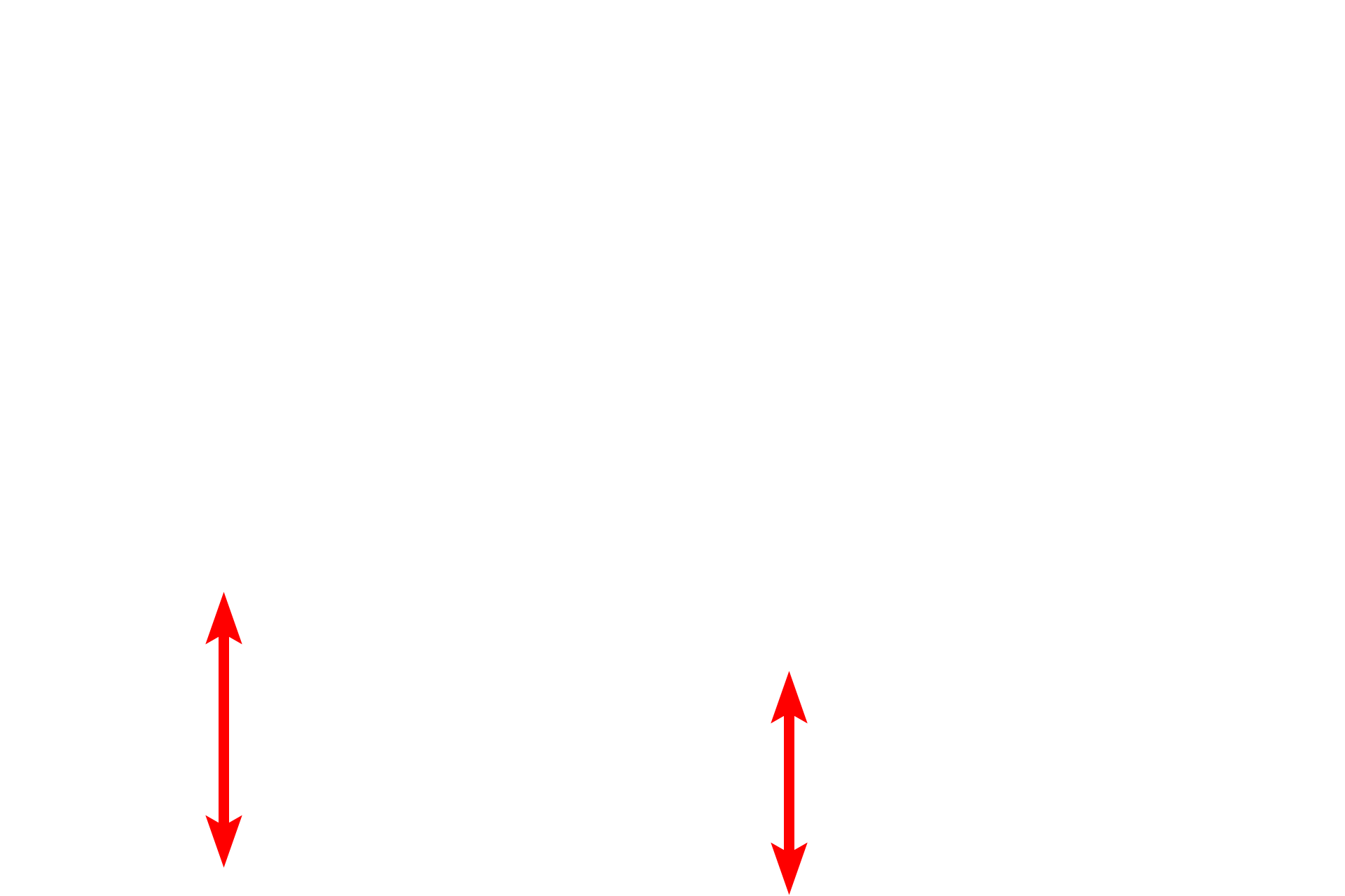 Submucosa <p>A trichrome stain of the mucosa and submucosa of the esophagus emphasizes the different tissues present.  In this region the muscularis mucosae is incomplete, consisting of islands of smooth muscle, rather than a continuous layer.  The longitudinal fold, with a core of submucosa, would flatten during expansion of the esophagus during food transport.  40x</p>
