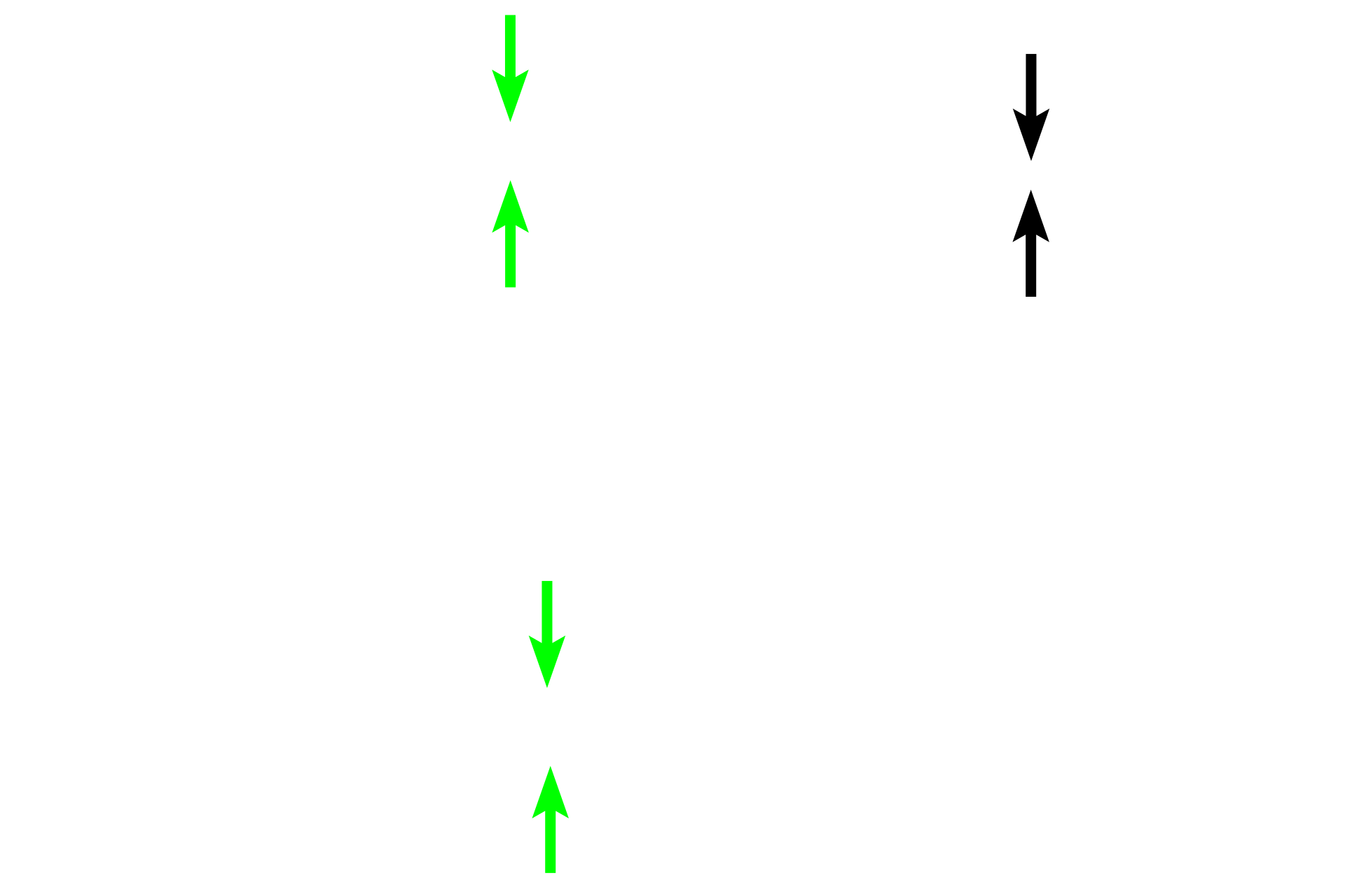 Submucosa <p>The submucosa consist of dense, irregular connective tissue and possesses tubulo-acinar esophageal glands.  These glands lubricate the esophagus during food transport.</p>
