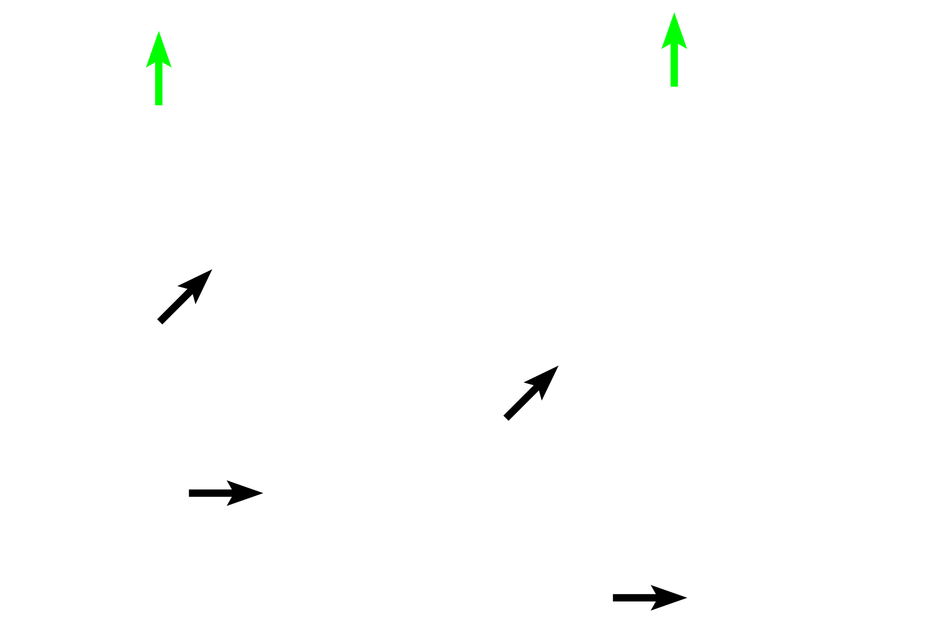 Compact bone > <p>Grossly, the bone tissue has two different appearances: compact and spongy. Compact (cortical) bone appears as a solid mass to the naked eye. This bone comprises the shafts of long bones and forms a peripheral layer over all bones, except in regions of articular cartilages. Spongy (cancellous) bone is found in the interior and resembles a sponge to the naked eye. It consists of a network of bony spicules or trabeculae, enclosing small marrow spaces. Spongy bone is present in the epiphyses and lining the interior of the diaphysis.  1x, 10x  </p>
