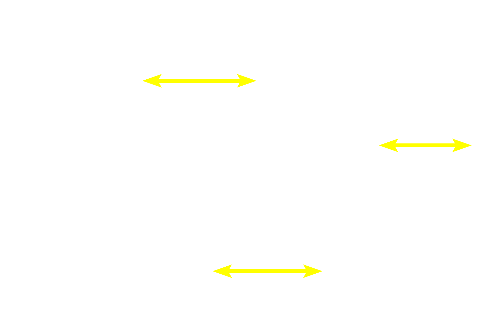 Lamellar bone >  <p>Lamellar (mature) bone is organized in lamellae with orderly arranged, flattened lacunae between them. This organization gives lamellar bone more strength. In the bone shown here, the lamellae are arranged as cylindrical structures called Haversian systems or osteons with a central Haversian canal. This canal is lined by an endosteum and contains one or more blood vessels. On the surface of bones, lamellae are arranged as flattened plates.</p>
