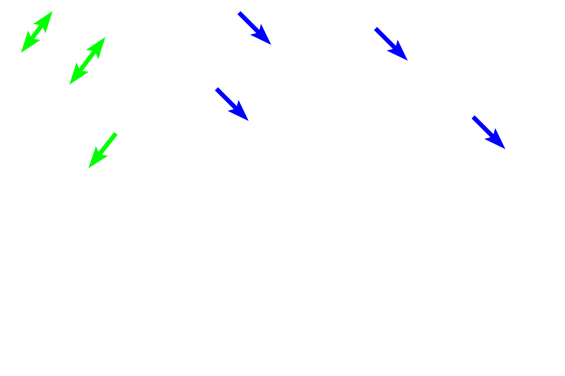  - Red marrow <p>Spongy bone, also called cancellous or trabecular bone, forms a honeycombed structure composed of interconnected, bony spicules. The spaces between the spicules are filled with red marrow. Spongy bone fills the epiphysis and is also present in the marrow cavity.</p>
