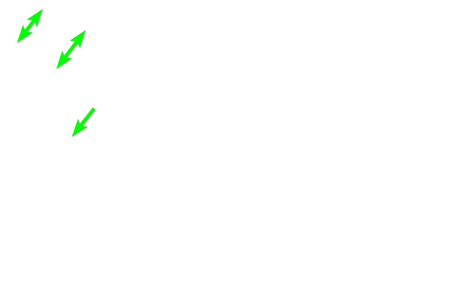 Spongy bone >  <p>Spongy bone, also called cancellous or trabecular bone, forms a honeycombed structure composed of interconnected, bony spicules. The spaces between the spicules are filled with red marrow. Spongy bone fills the epiphysis and is also present in the marrow cavity.</p>

