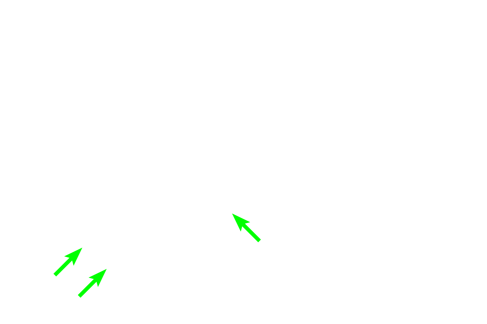 Osteoblasts >  <p>Osteoblasts lie on the surface of bone and produce the organic components of the extracellular matrix: ground substance and collagen fibers. Osteoblasts are large, plump cells filled with the organelles necessary for protein production. Osteoblasts are located wherever bone growth is occurring, i.e., in both the endosteum and the periosteum</p>

