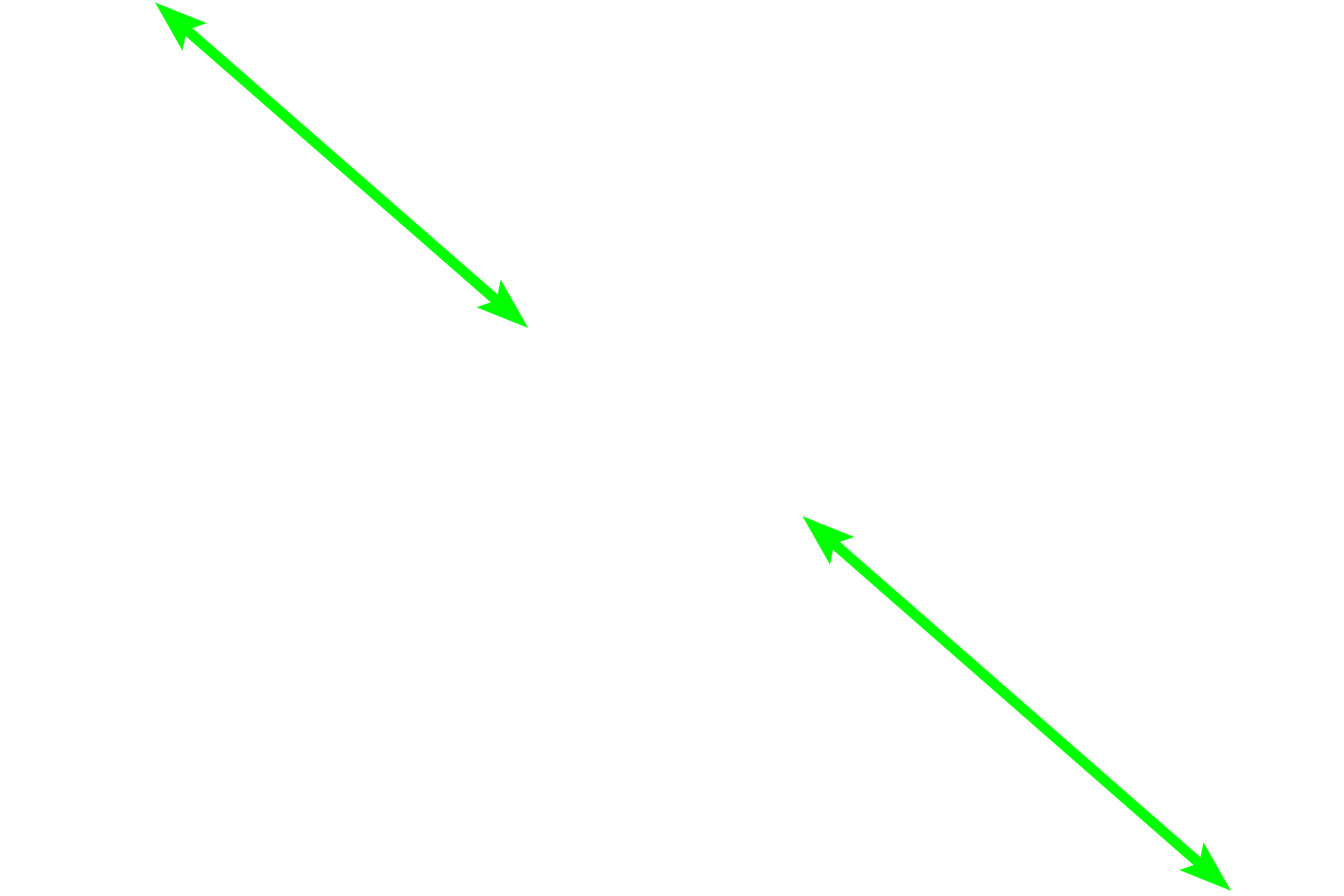 Bone marrow >  <p>The spicule is surrounded by red bone marrow which produces all the circulating blood cells. Numerous blood vessels (sinusoids) in the bone marrow serve to transport newly formed blood cells into the general circulation. </p>

