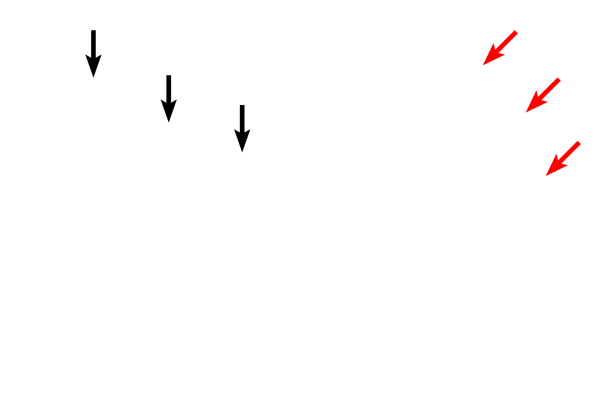Osteoblasts >  <p>Osteoblasts secrete osteoid, eventually surrounding themselves in the process. Once entirely enclosed by matrix, these cells are called osteocytes.</p>
