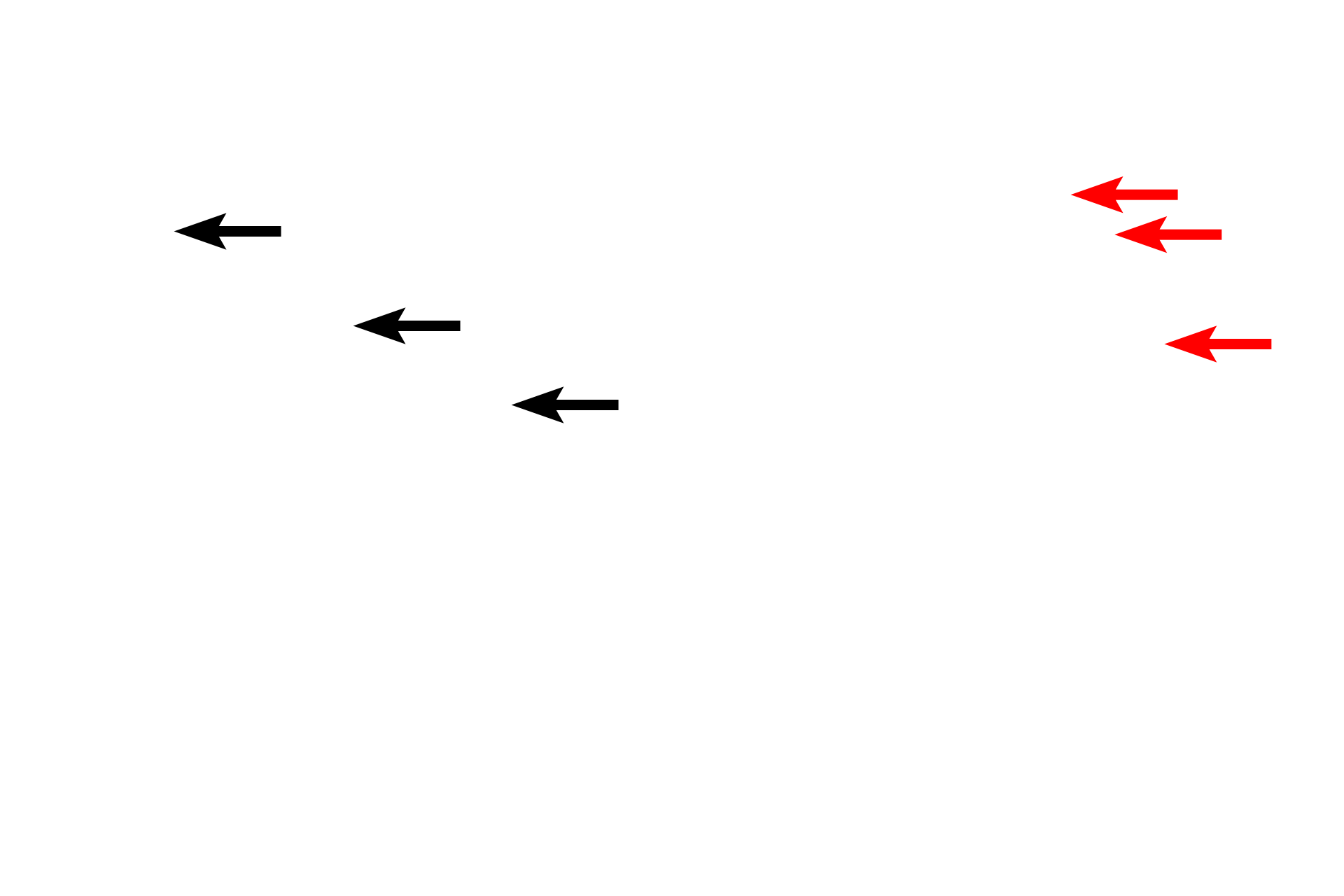 Osteoid > <p>Osteoid is composed of ground substance (mostly proteoglycans) and collagen fibers. It appears as a pale band lying on the bone surface beneath the osteoblasts. Osteoid rapidly becomes mineralized with calcium phosphate (hydroxyapatite).</p>
