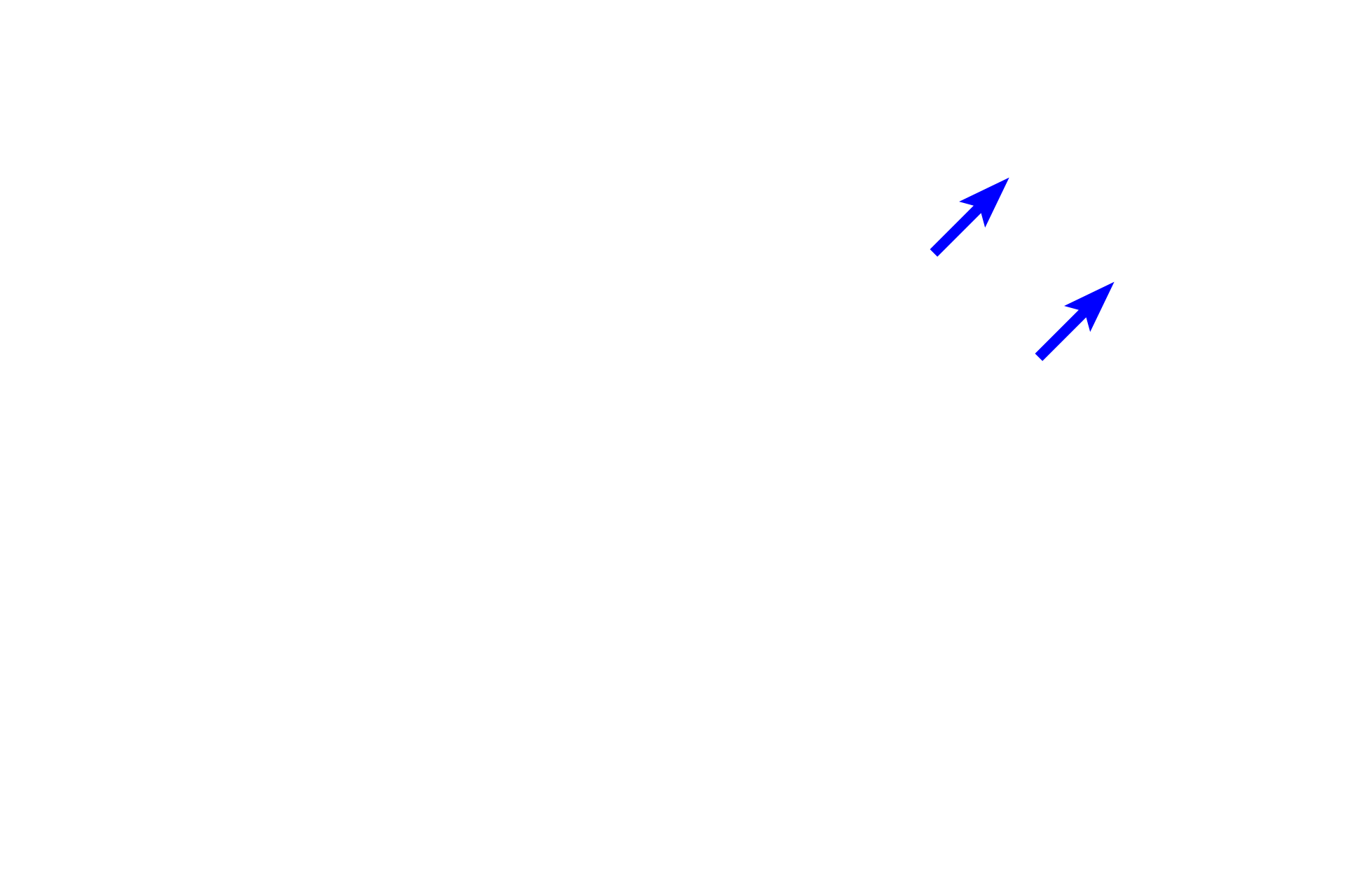  - Osteoblasts becoming osteocytes <p>Osteoblasts secrete osteoid, eventually surrounding themselves in the process. Once entirely enclosed by matrix, these cells are called osteocytes.</p>
