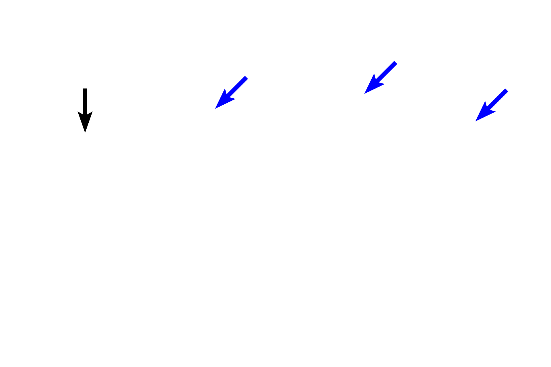  -- Bone lining cells <p>Periosteum covers the outer surface of bones, except over articular cartilages. The periosteum consists of an outer fibrous layer of dense connective tissue and an inner osteogenic layer. Bone lining cells in the inner layer are squamous-shaped and include osteoprogenitor cells that are capable of differentiating into bone forming osteoblasts. The osteogenic layer varies considerably depending on its functional state, reflecting regions of relative inactivity, bone deposition, or bone resorption and remodeling.  The periosteum is well vascularized and innervated.</p>
