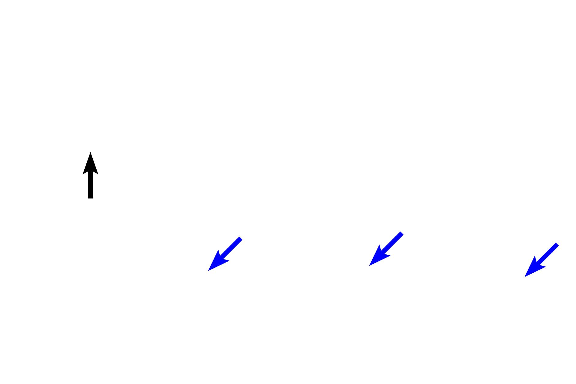  - Bone lining cells <p>The endosteum consists of single layer of squamous-shaped bone lining cells and osteoprogenitor cells.  Endosteum covers all internal bone surfaces (including spicules of spongy bone), and extends into Haversian and Volkmann’s canals. In areas of active bone deposition, cuboidal osteoblasts are present; areas of bone resorption are marked by the presence of osteoclasts.</p>
