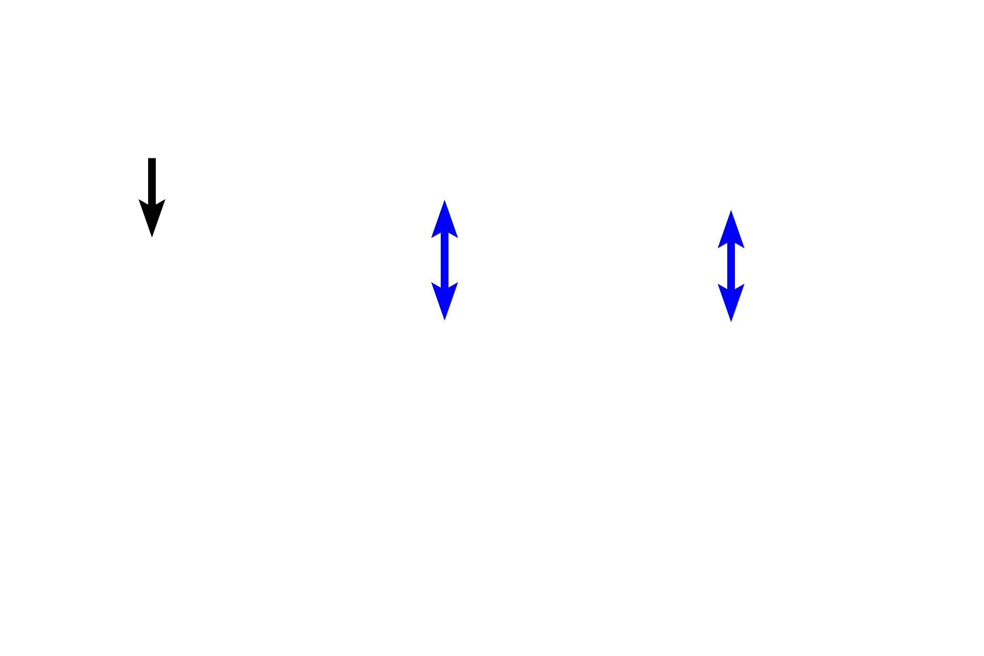 Compact bone <p>Periosteum covers the outer surface of bones, except over articular cartilages. The periosteum consists of an outer fibrous layer of dense connective tissue and an inner osteogenic layer. Bone lining cells in the inner layer are squamous-shaped and include osteoprogenitor cells that are capable of differentiating into bone forming osteoblasts. The osteogenic layer varies considerably depending on its functional state, reflecting regions of relative inactivity, bone deposition, or bone resorption and remodeling.  The periosteum is well vascularized and innervated.</p>
