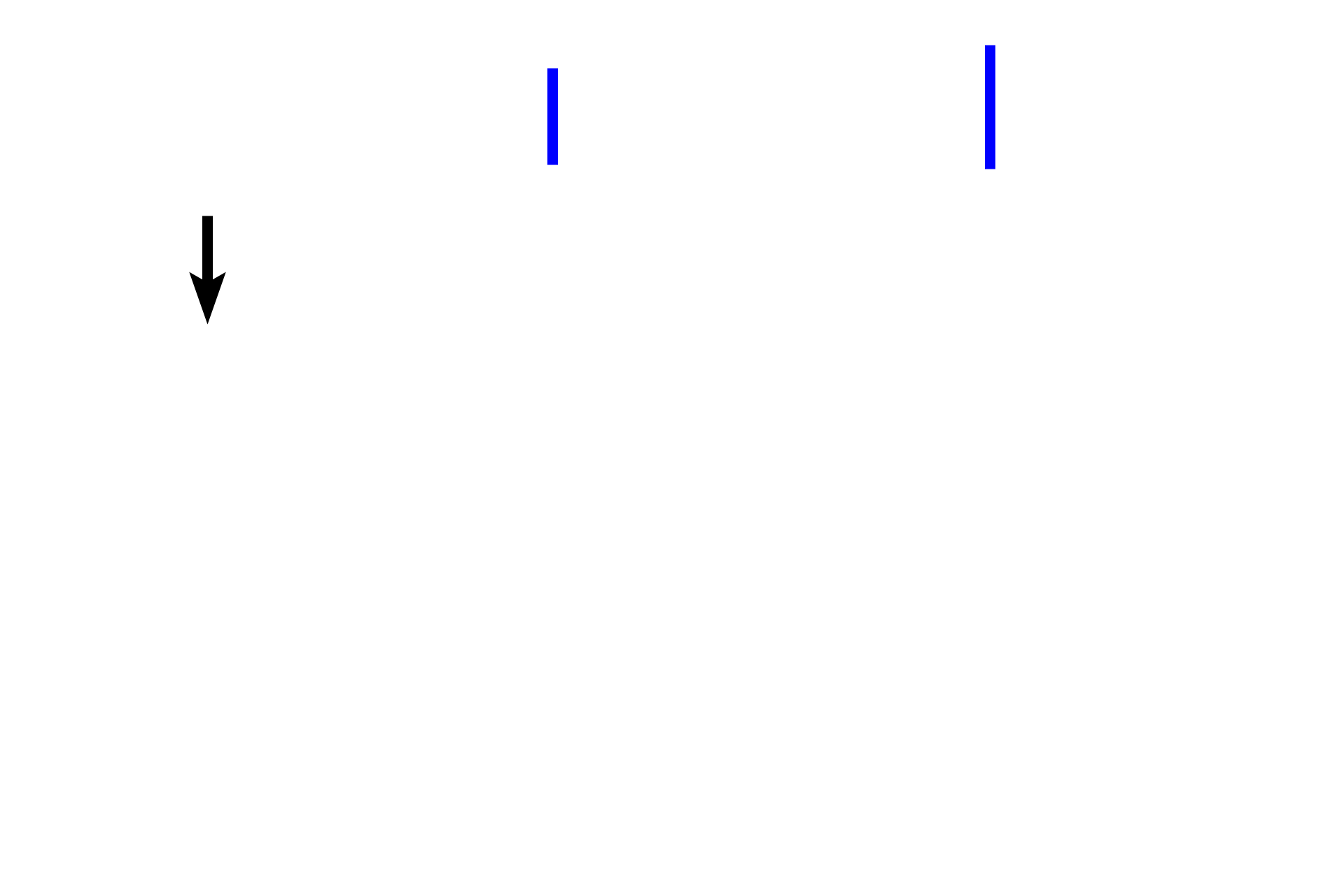  - Fibrous layer <p>Periosteum covers the outer surface of bones, except over articular cartilages. The periosteum consists of an outer fibrous layer of dense connective tissue and an inner osteogenic layer. Bone lining cells in the inner layer are squamous-shaped and include osteoprogenitor cells that are capable of differentiating into bone forming osteoblasts. The osteogenic layer varies considerably depending on its functional state, reflecting regions of relative inactivity, bone deposition, or bone resorption and remodeling.  The periosteum is well vascularized and innervated.</p>
