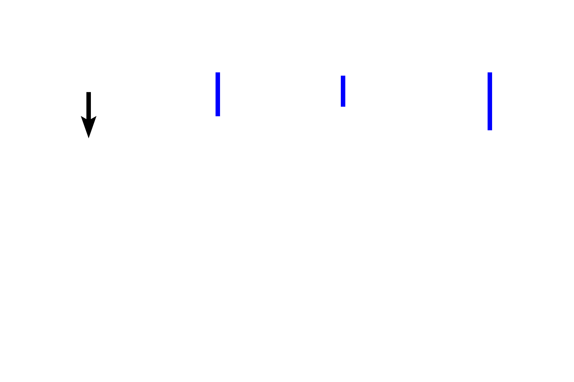  - Osteogenic layer <p>Periosteum covers the outer surface of bones, except over articular cartilages. The periosteum consists of an outer fibrous layer of dense connective tissue and an inner osteogenic layer. Bone lining cells in the inner layer are squamous-shaped and include osteoprogenitor cells that are capable of differentiating into bone forming osteoblasts. The osteogenic layer varies considerably depending on its functional state, reflecting regions of relative inactivity, bone deposition, or bone resorption and remodeling.  The periosteum is well vascularized and innervated.</p>
