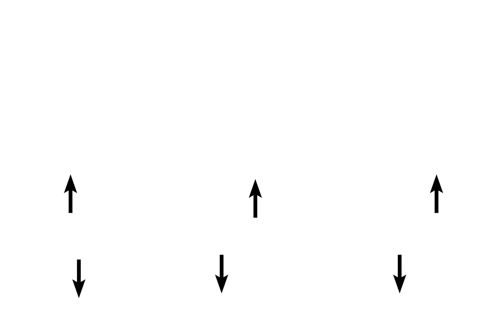  - Periosteum >  <p>The periosteum also forms from the original embryonic connective tissue membrane. The periosteum on the exterior surface of the bone, referred to as pericranium in gross anatomy, is applied to the surface of the outer table. The periosteum on the internal surface lies adjacent to the brain and will form a major portion of the dura mater.</p>
