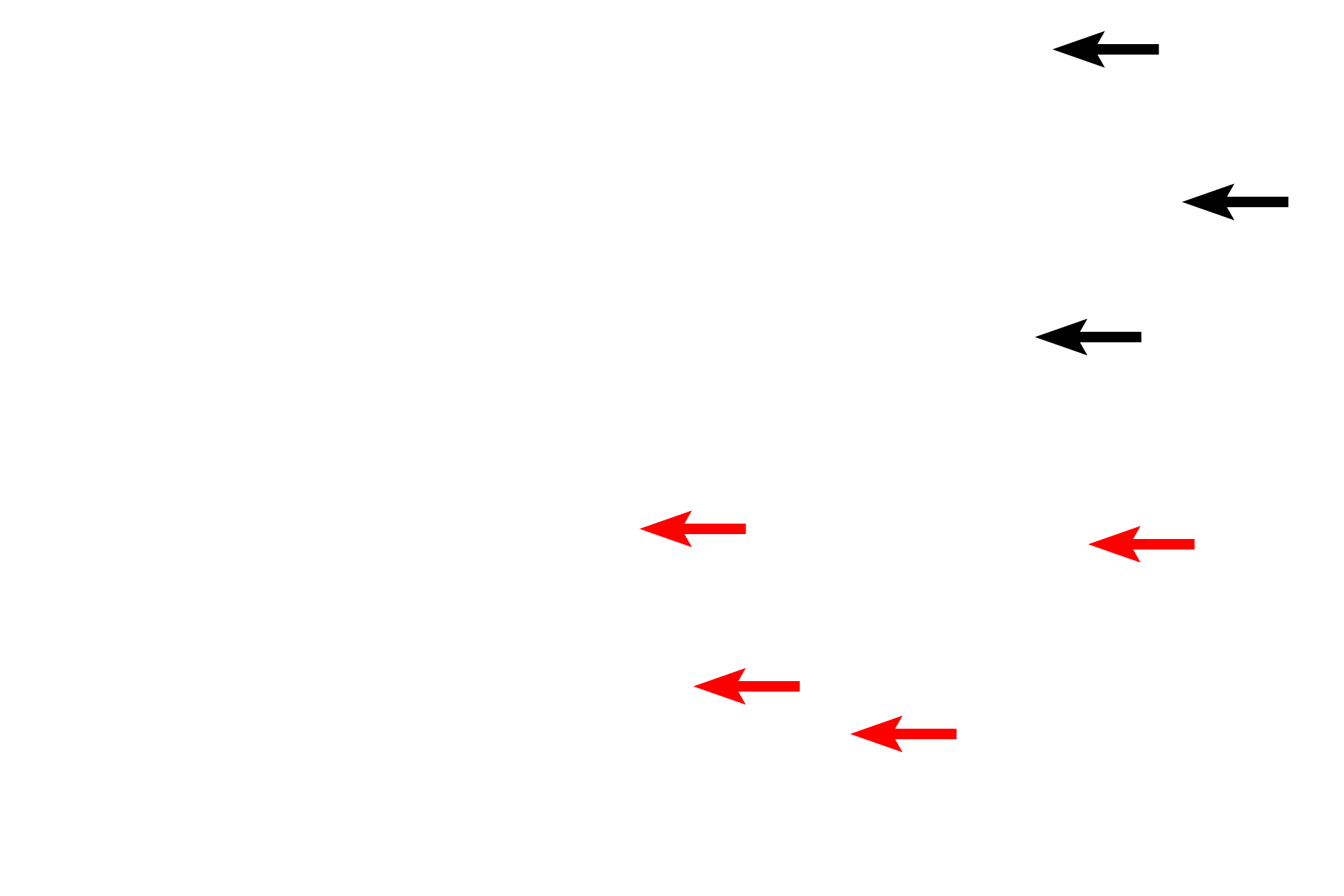 Haverian canals >  <p>Haversian canals are centrally located in each osteon and possess a blood vessel needed for maintenance of the bone.  Branches of these vessels travel in horizontally-oriented Volkmann’s canals.  Both Haversian and Volkmann’s canals are lined by endosteum which is continuous with the endosteum of the marrow cavity.  </p>
