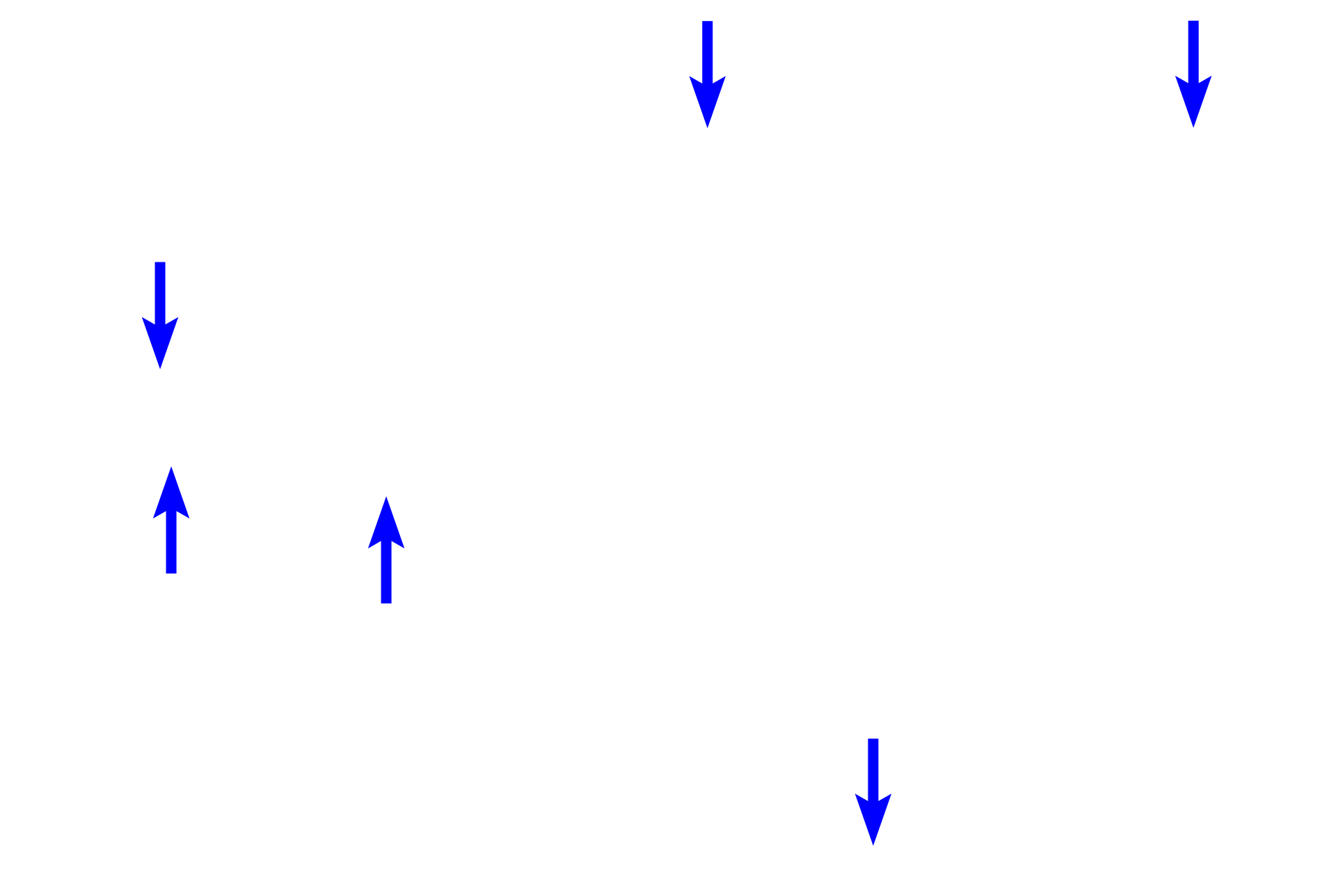 Compact bone <p>The ends of long bones are covered by articular cartilage, formed of hyaline cartilage, providing a smooth, glassy surface that allows the ends of the bones to move easily on each other. This type of articulation is called a synovial joint. Articular cartilages, which are not covered by periosteum, are separated by a fluid-filled synovial space. A thin layer of compact bone lies beneath the cartilage.  10x, 800x   </p>
