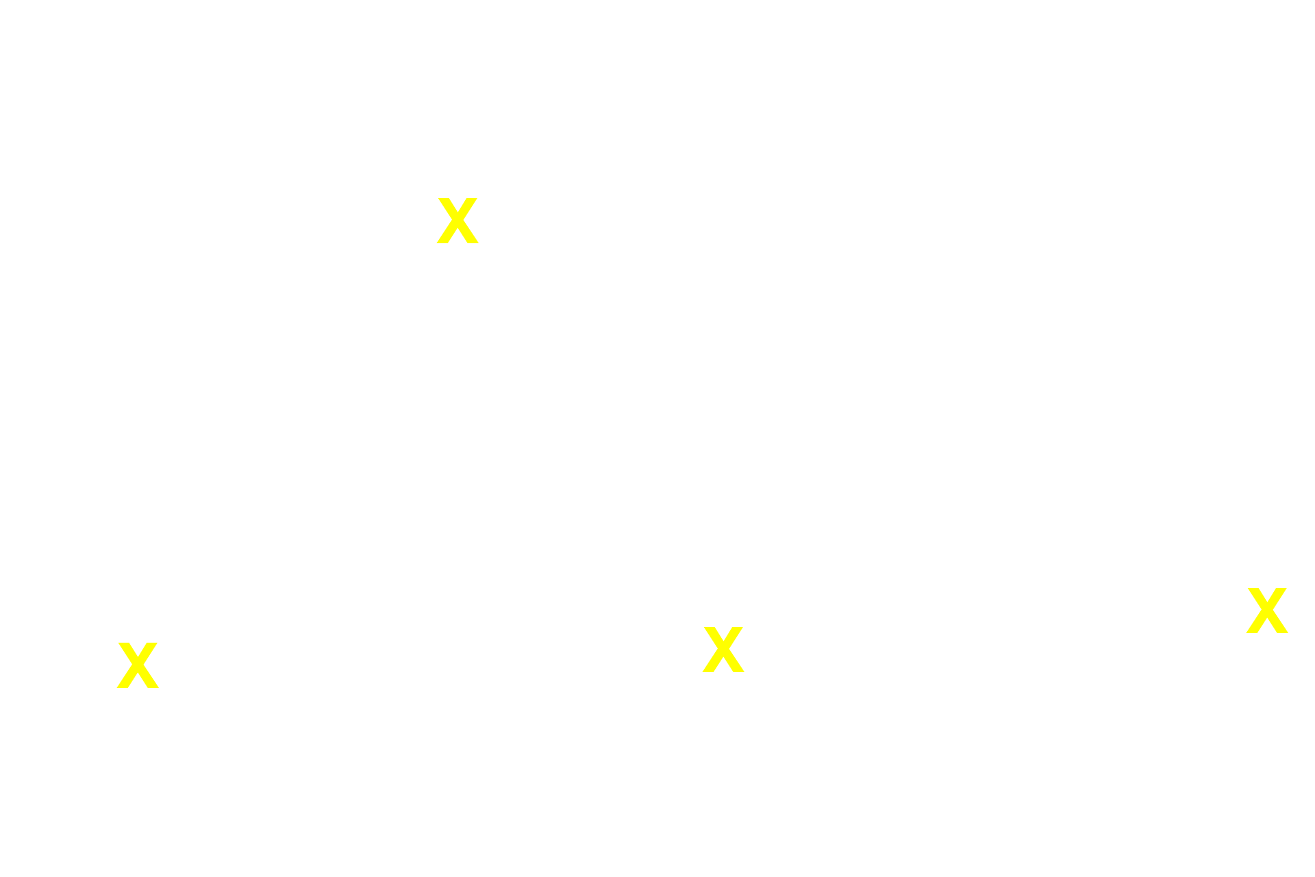 Bone spicules >  <p>Bone spicules form the spongy bone in which most hemopoiesis occurs in adults.</p>
