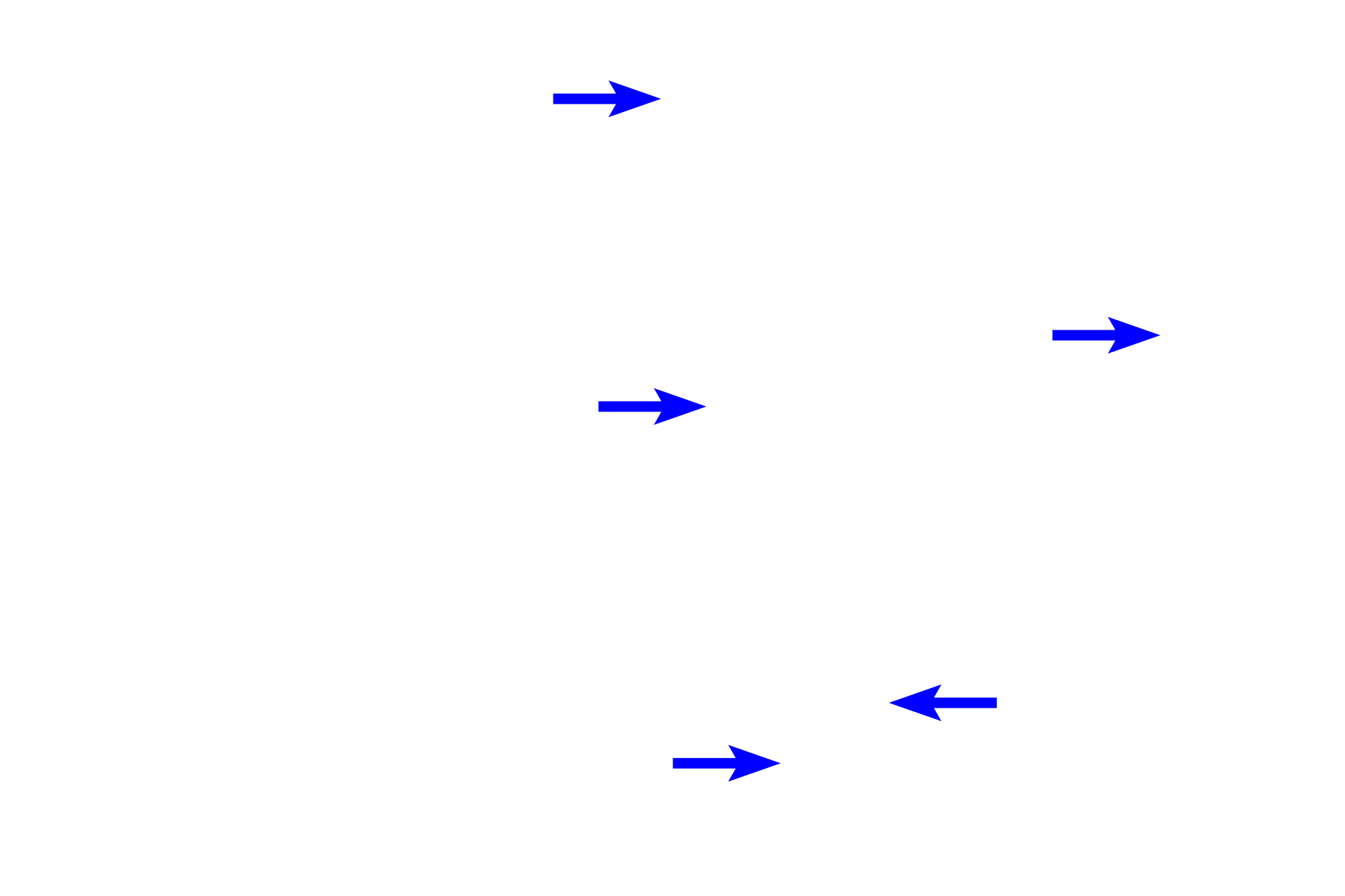  - Blood vessels > <p>Bone is a highly vascularized organ and tissue.</p>
