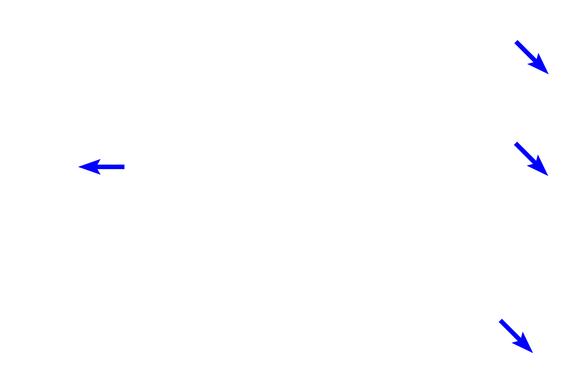  - Endosteum > <p>The endosteum consists of single layer of cells that cover all internal bone surfaces. In non-active regions, the cells are squamous-shaped and include inactive osteoblasts as well as osteoprogenitor cells, which have the capacity to differentiate into osteoblasts. These two cell types are difficult to distinguish from each other. In areas of bone deposition, inactive osteoblasts transform into active, cuboidal-shaped osteoblasts. In areas of bone resorption, osteoclasts are present.</p>
