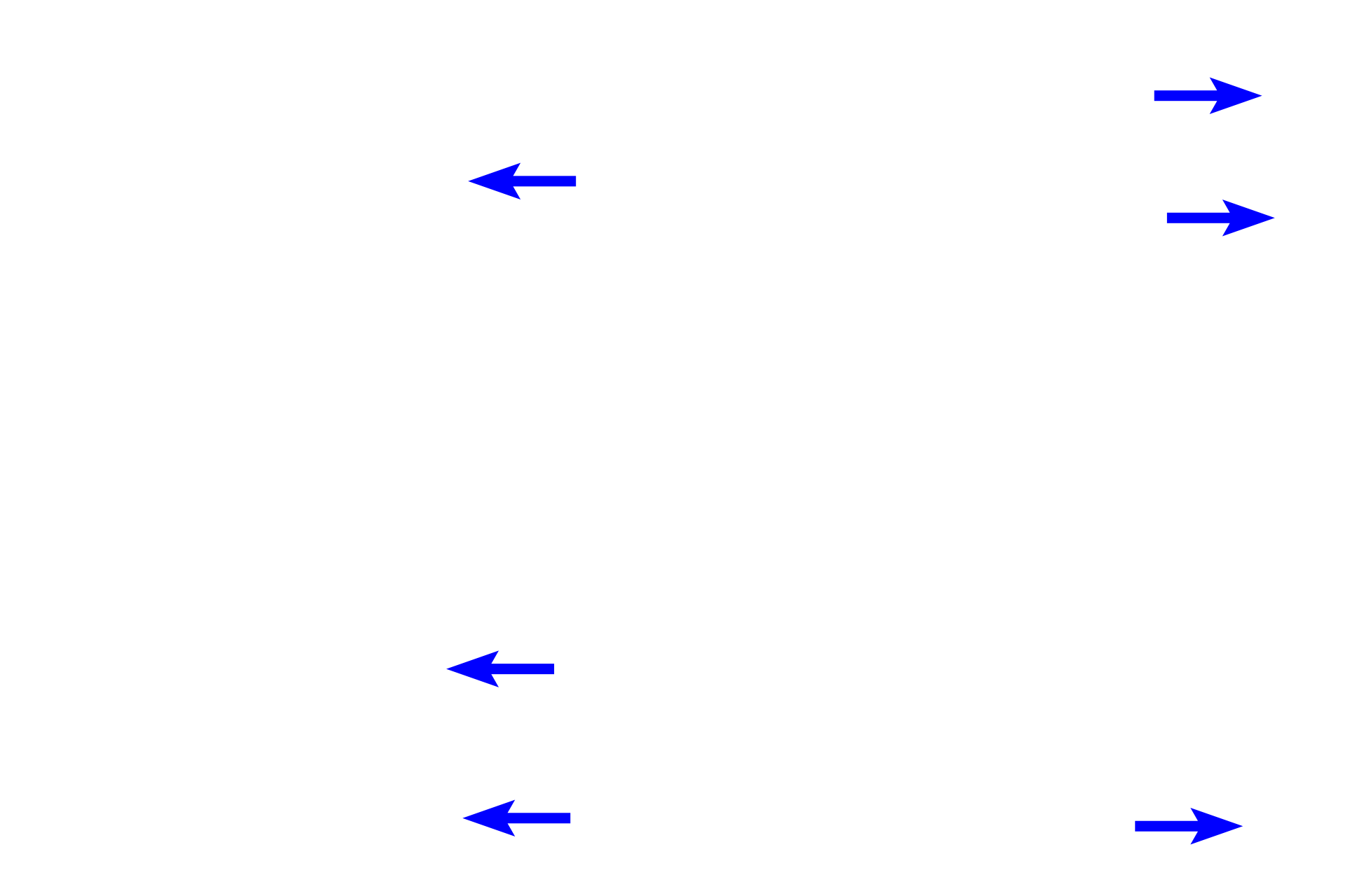  - Bone lining cells > <p>Bone lining cells are quiescent, flattened osteoblasts that cover bone surfaces where neither bone resorption nor bone formation is occurring. They can be induced to proliferate and differentiate into osteoblasts and may also represent a source of “determined” osteogenic precursors. Bone lining cells maintain bone remodeling and mineral homeostasis.</p>
