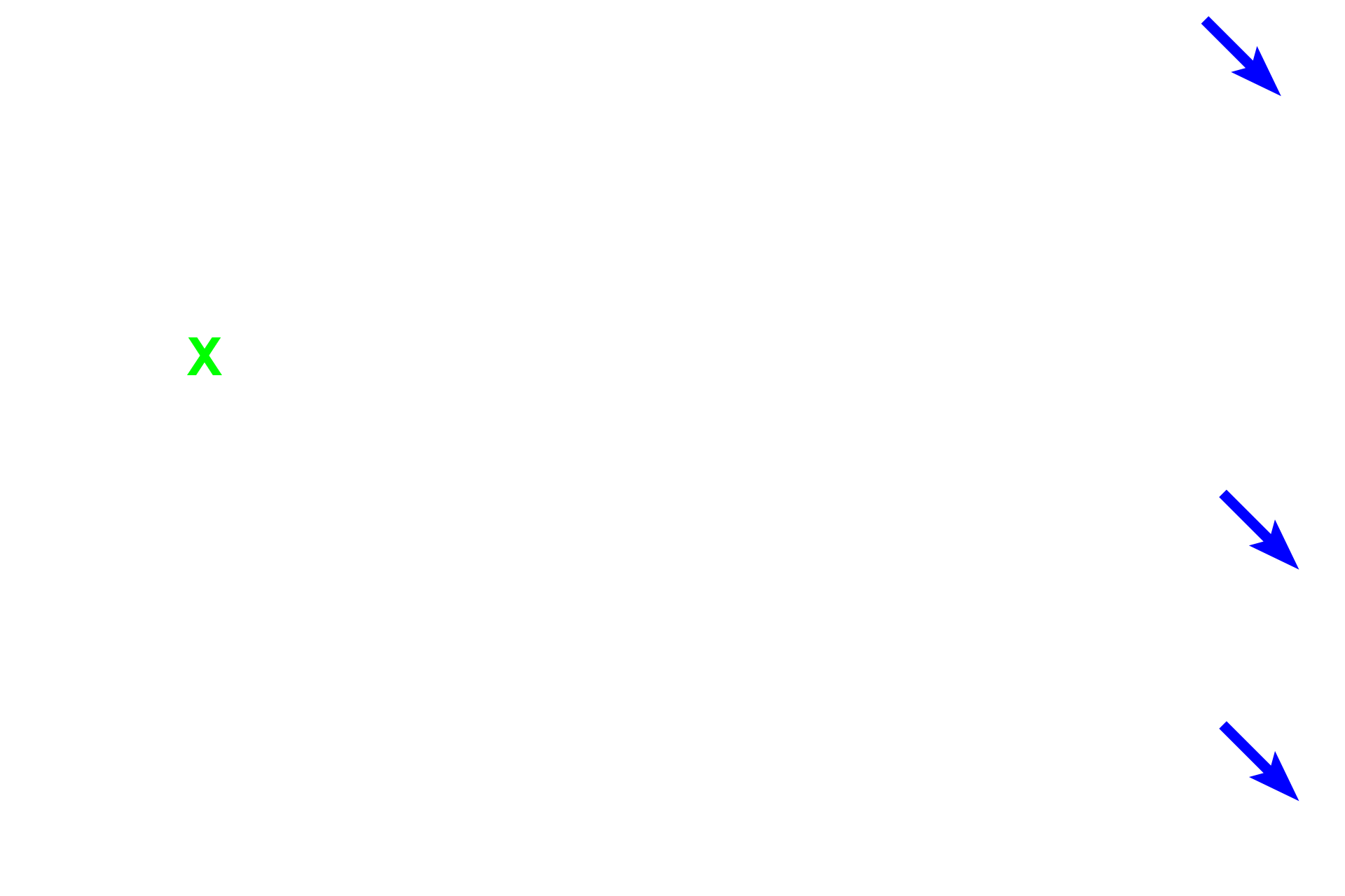  - Marrow > <p>The central cavity of the bone is called the marrow cavity (X) and contains either red marrow (blood forming) or yellow marrow (fat cells).</p>
