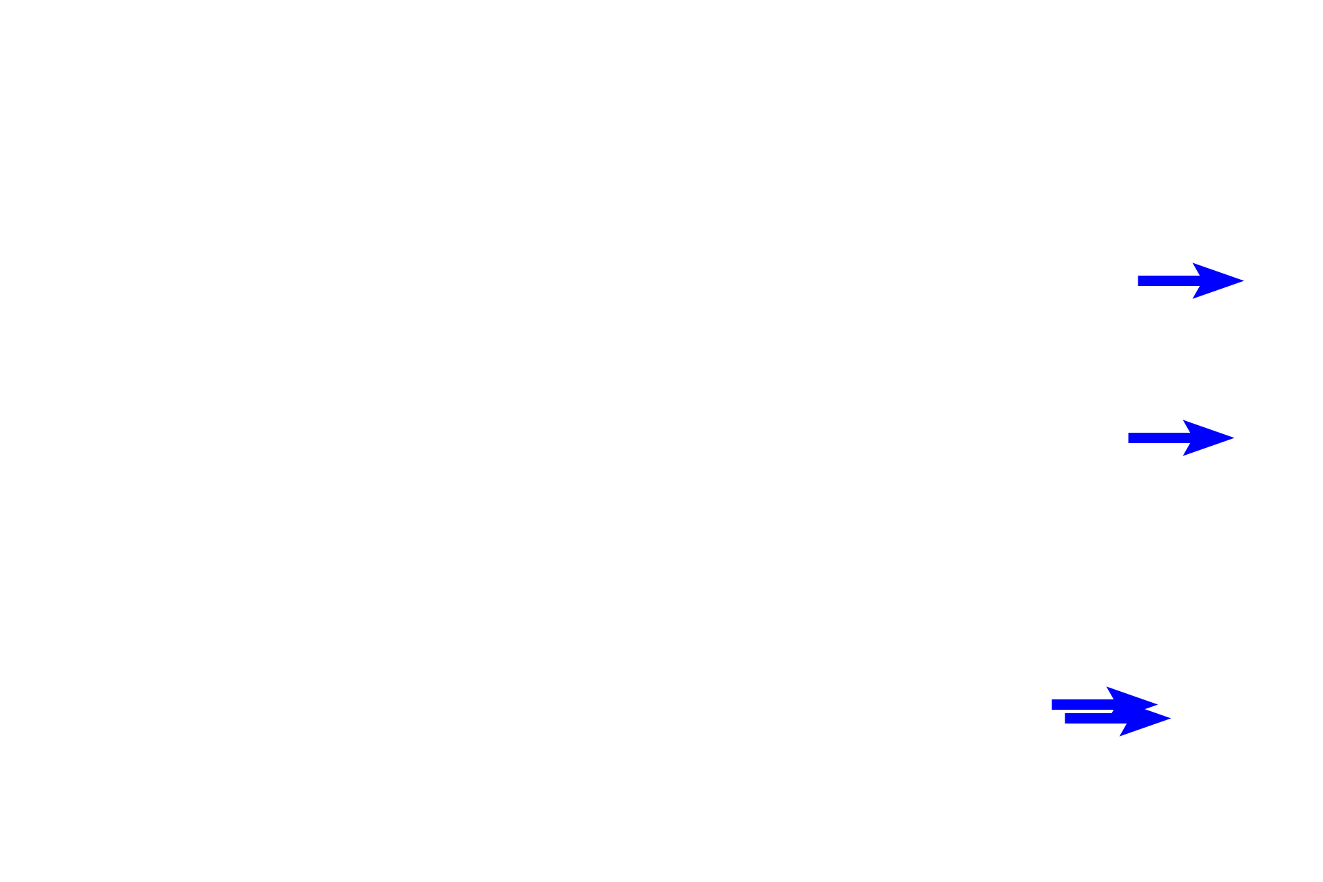  - Osteoblasts > <p>Osteoblasts are cells that lie on the surface of bone and produce the matrix (deposition), surrounding themselves during the process. Once entirely enclosed by matrix, these cells are called osteocytes.</p>
