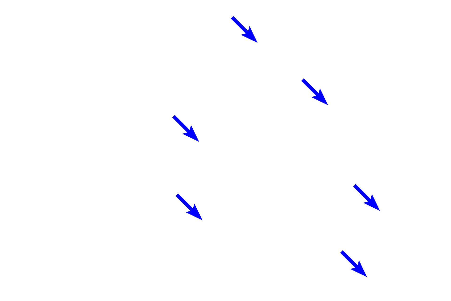  - Osteocytes <p>Osteoblasts are cells that lie on the surface of bone and produce the matrix (deposition), surrounding themselves during the process. Once entirely enclosed by matrix, these cells are called osteocytes.</p>

