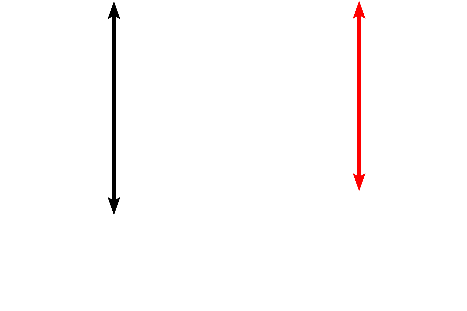  - Concentric lamella > <p>In regions between the inner and outer circumferential lamella, the matrix is organized into the concentrically arranged lamellae that form Haversian systems.</p>
