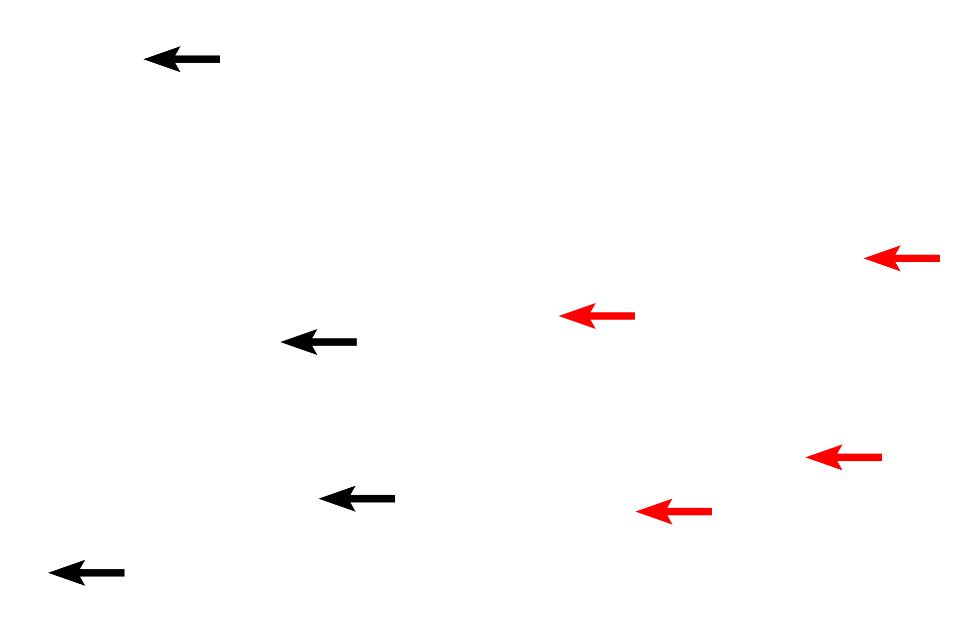 Matrix > <p>The matrix of mature bone is highly ordered, organized into sheets or lamellae. Lamellae on the inner and outer surfaces of a bone are arranged as flattened plates. In other areas, lamellae are concentrically arranged into cylinders (Haversian systems) that surround a lumen. For both, osteocytes are located in lacunae between the lamellae. Lamellae are better visualized in the ground bone preparation. </p>
