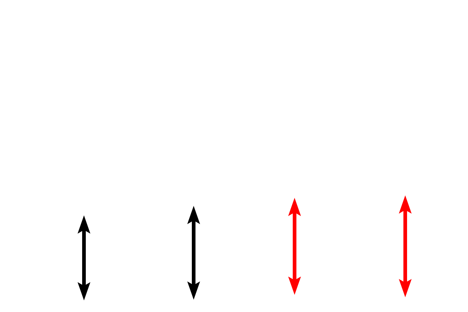  - Parallel lamellae > <p>Bone tissue on the inner and outer surfaces of a bone can be organized into flattened, plates that extend around the periphery of the bone (outer circumferential lamellae) or encircle the marrow space (inner circumferential lamellae). Only outer circumferential lamellae are shown here. </p>
