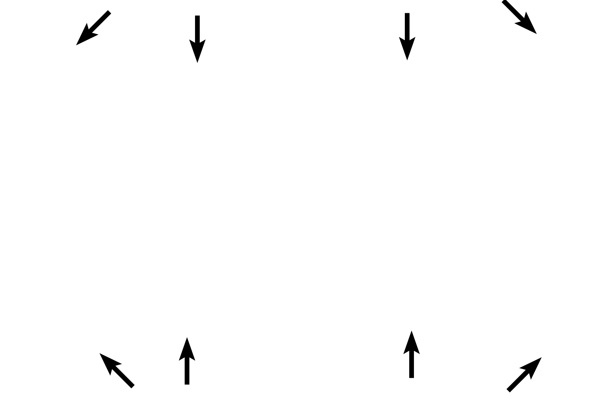 Periosteum >  <p>The periosteum covers all external surfaces of a bone except where articular cartilages are present. The periosteum was not preserved in this specimen of the femur; its position is indicated by the arrows. </p>
