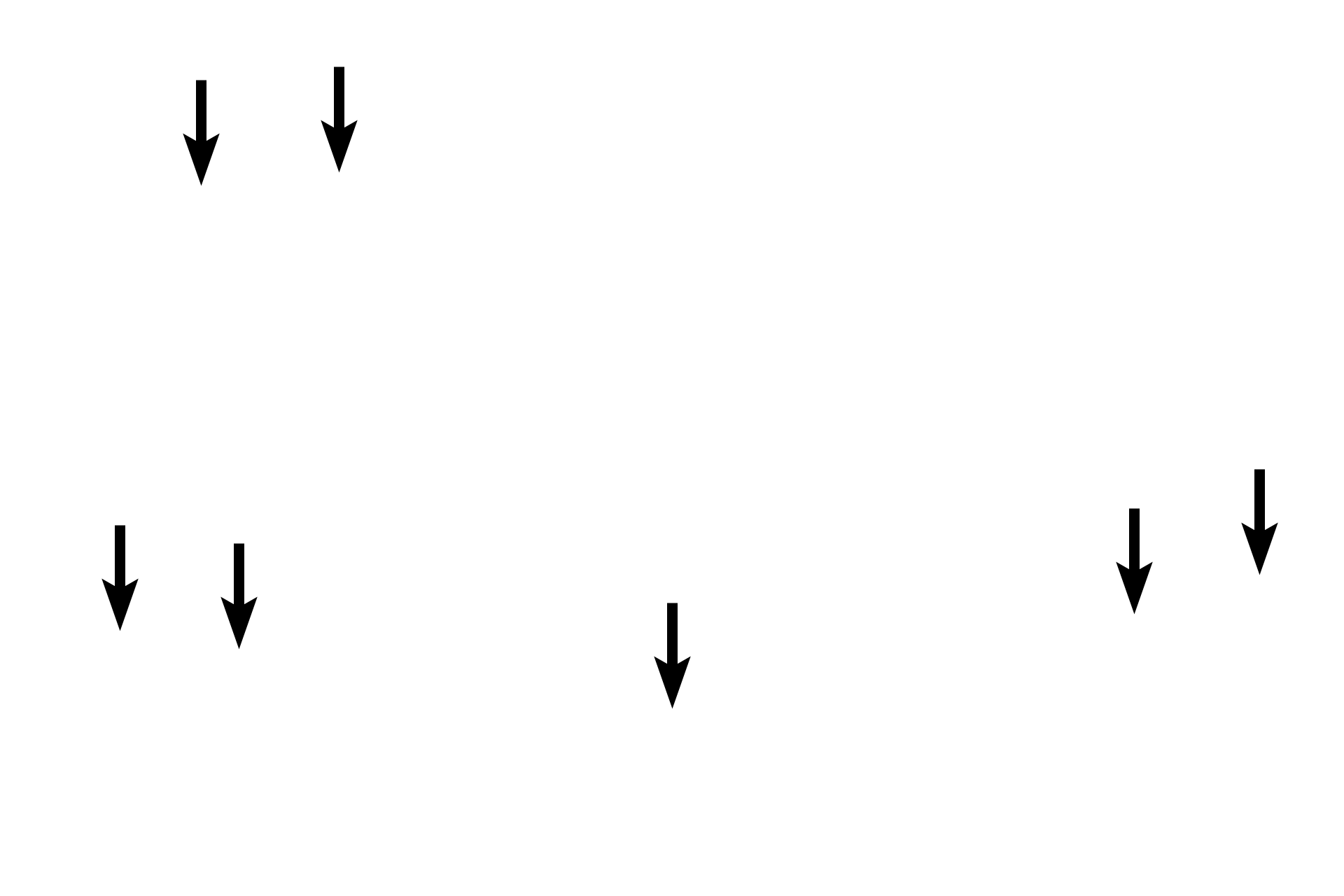 Endosteum >  <p>The endosteum consists of a single layer of cells that line all interior bony surfaces except lacunae and canaliculi.  The endosteum, like the periosteum, was not preserved in this preparation. </p>
