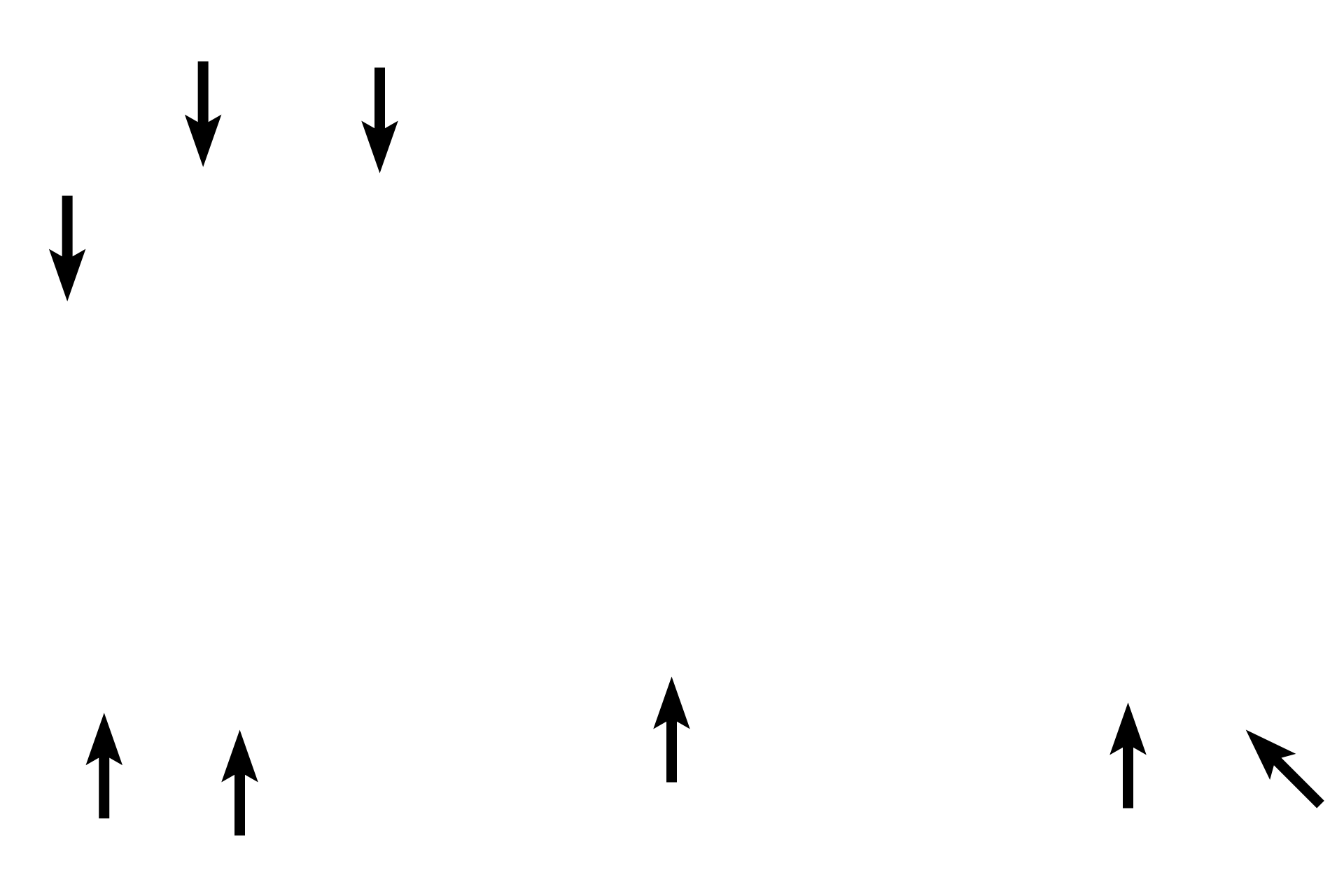 Spongy bone > <p>Spongy (cancellous) bone lines the interior of a bone, fills the epiphyseal and metaphyseal regions of long bones, and lines the marrow cavity in the diaphysis.</p>
