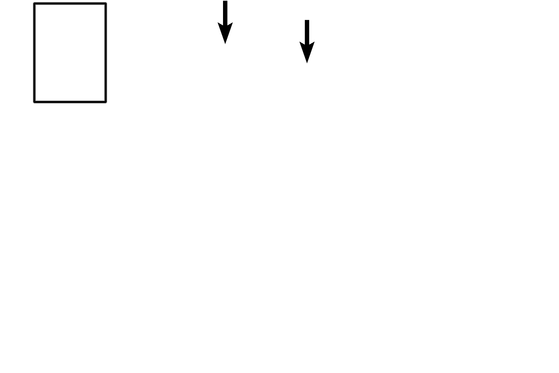 - Epithelium <p>The endometrium lines the uterus and consists of a simple columnar epithelium and its lamina propria, called uterine stroma. Uterine glands project inward from the epithelium and extend to the interface with the myometrium. Uterine glands exhibit different morphologies depending on changing hormonal influences during the menstrual (uterine) cycle. 100x </p>
