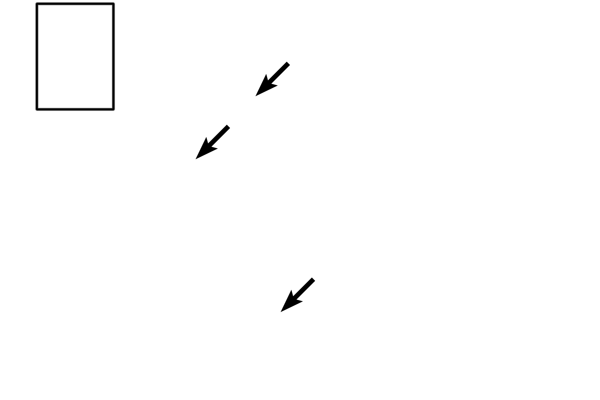 - Uterine glands <p>The endometrium lines the uterus and consists of a simple columnar epithelium and its lamina propria, called uterine stroma. Uterine glands project inward from the epithelium and extend to the interface with the myometrium. Uterine glands exhibit different morphologies depending on changing hormonal influences during the menstrual (uterine) cycle. 100x</p>
