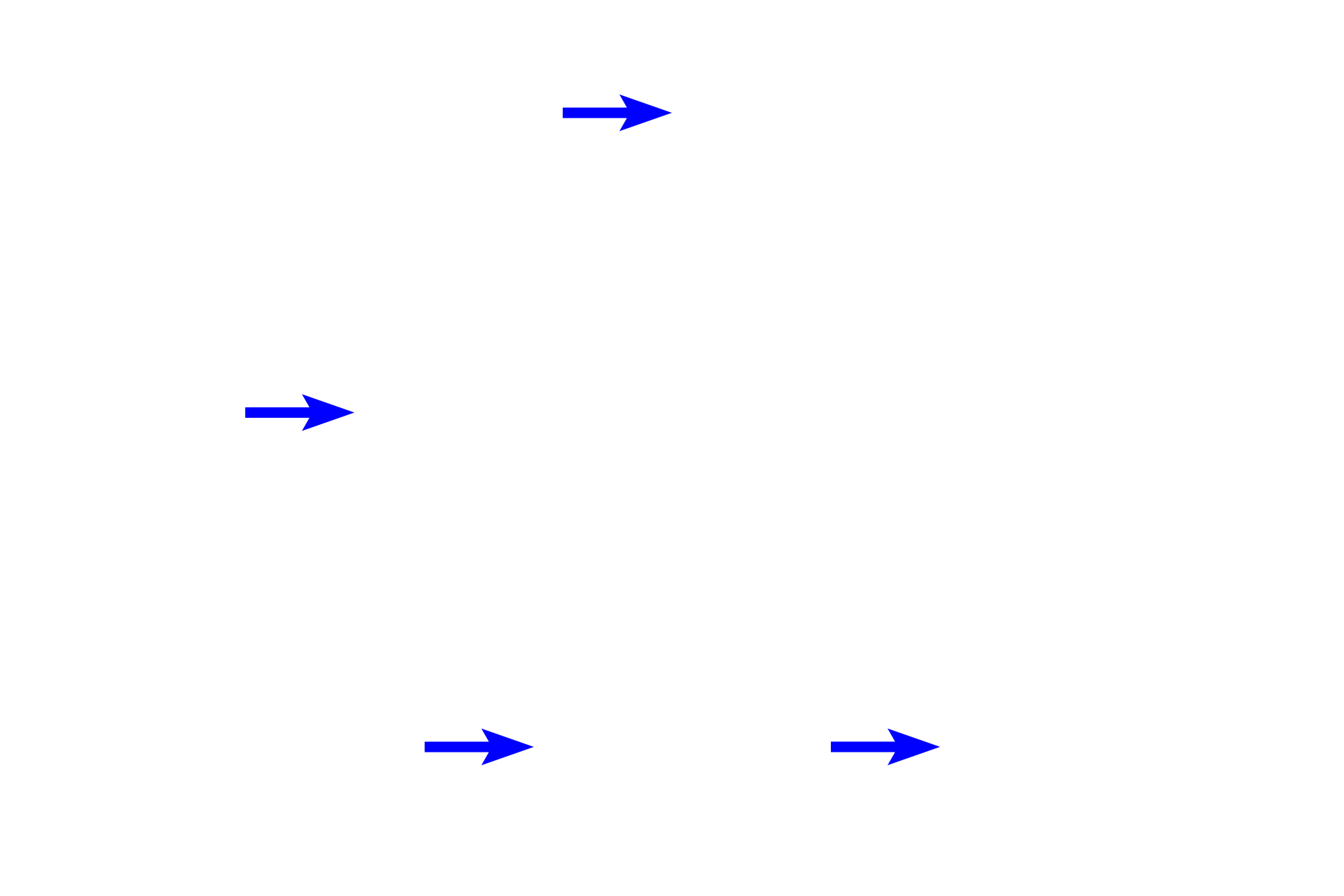 Submucosa <p>The appendix is a narrow, blind-ended tube attached to the cecum, the initial region of the large intestine. Though considered a portion of the tubular digestive tract, the lamina propria of the appendix is heavily infiltrated with lymphoid tissue forming numerous secondary nodules. As such, the appendix is an important component of the mucosal immune system. 40x</p>
