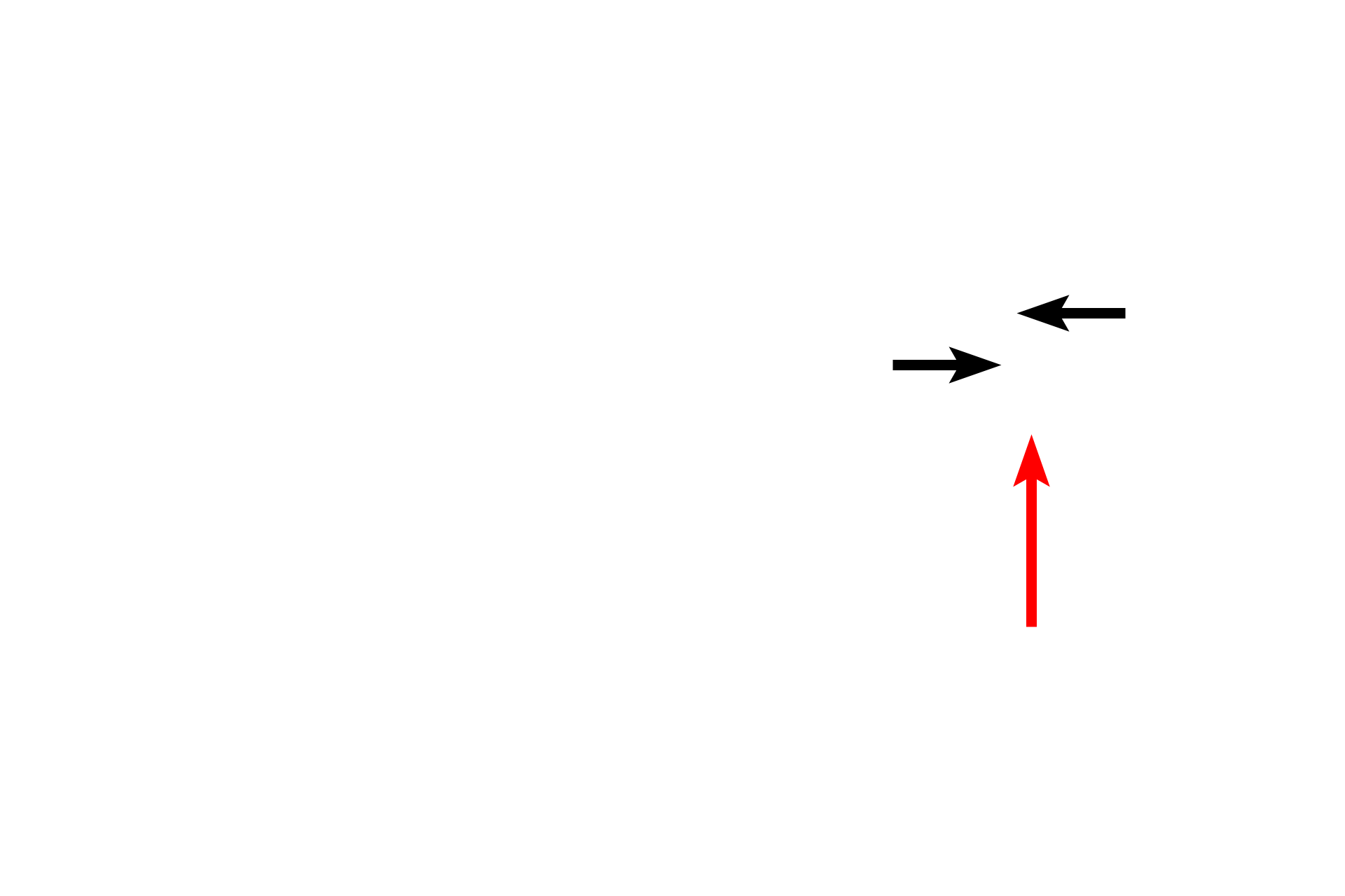 Direction of lymph flow > <p>The direction of lymph flow is indicated by the red arrow. </p>
