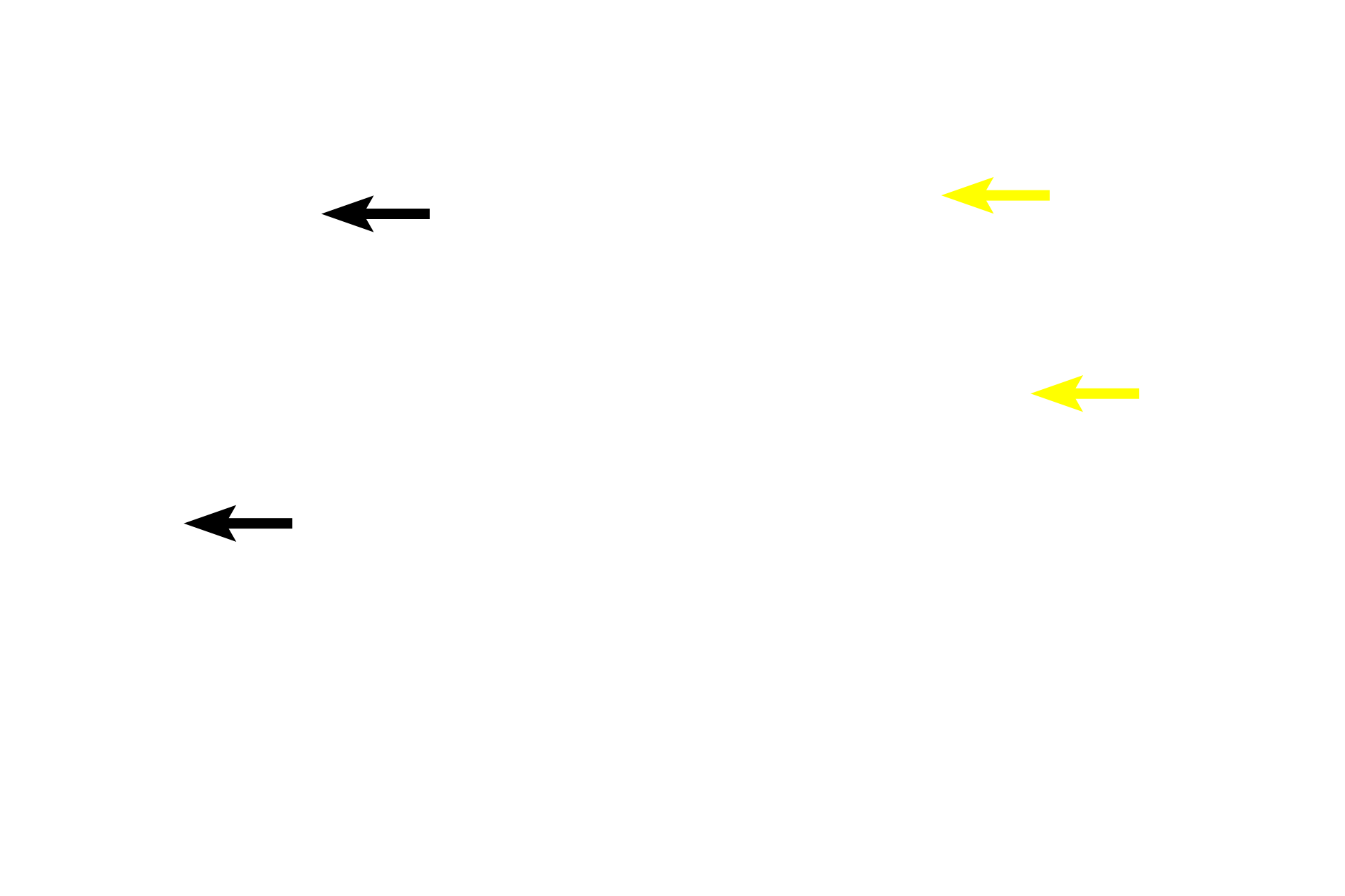 Glands <p>Primary lymphoid nodules consists of a spherical mass of unstimulated lymphocytes. These primary nodules, located in the lamina propria of the colon (l) and stomach (r), filter tissue fluid and respond to antigens encountered by the mucosa.  Following antigen stimulation, they can become a secondary nodule with the formation of a pale staining central region called the germinal center.</p>
