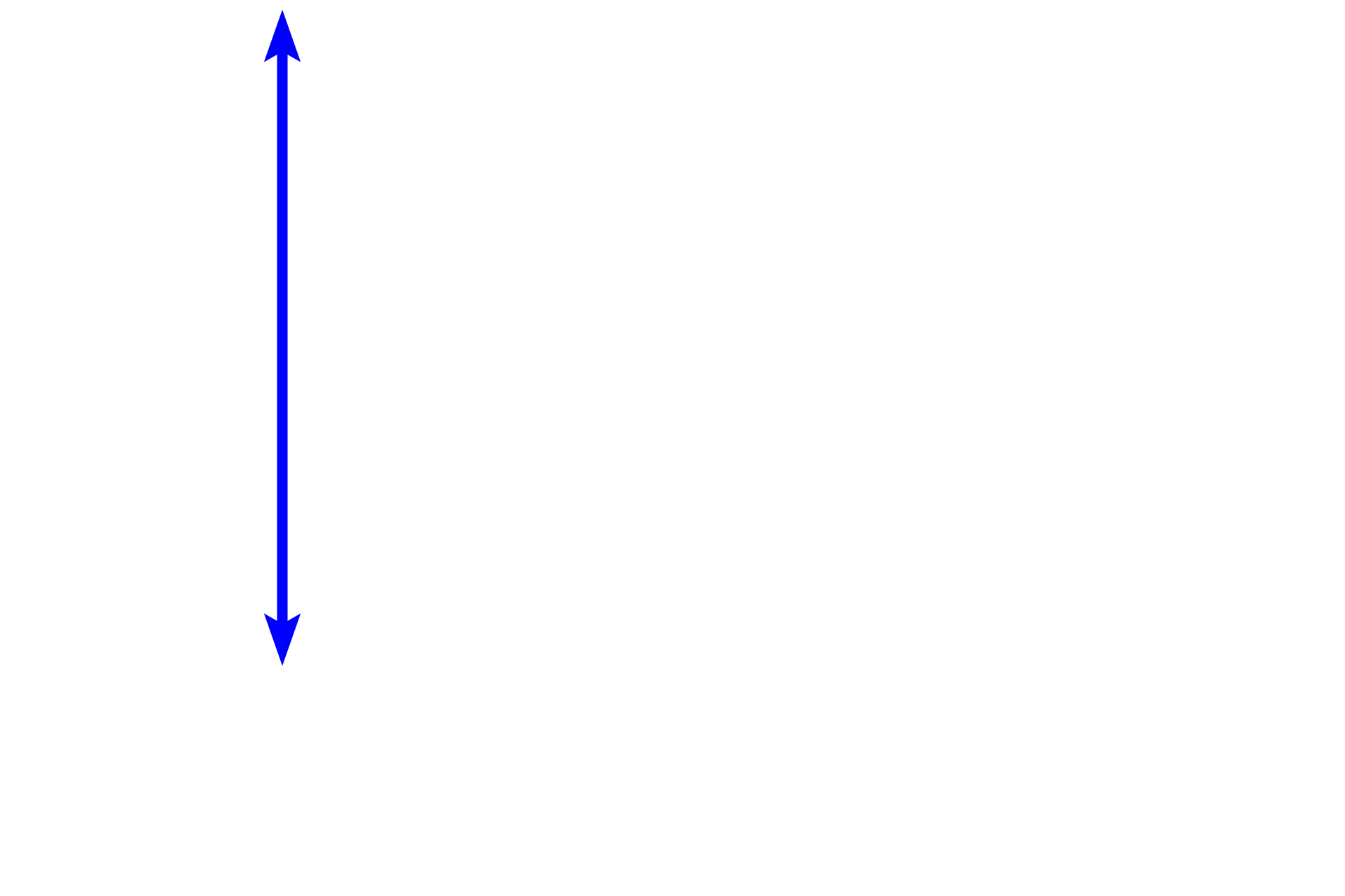 Mucosa <p>With antigenic stimulation, primary nodules increase in size and develop a pale-staining central region called the germinal center. These are now referred to as secondary nodules. Germinal centers are a morphological indication of lymphoid tissue response to antigen and represent a cascade of events including activation and proliferation of lymphocytes, and generation of plasma cells and memory B cells. Colon, 200x</p>
