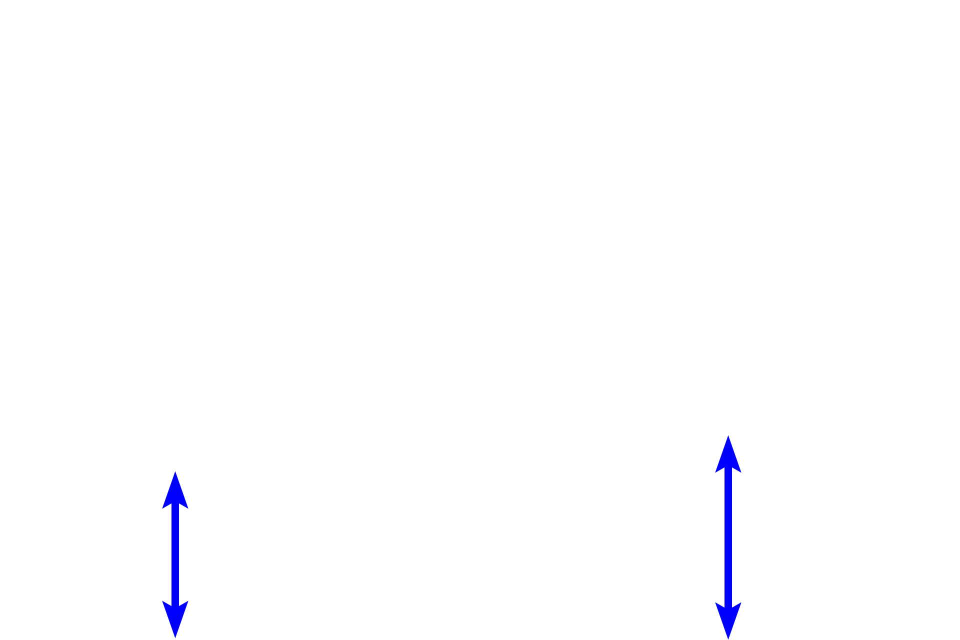Submucosa  <p>With antigenic stimulation, primary nodules increase in size and develop a pale-staining central region called the germinal center. These are now referred to as secondary nodules. Germinal centers are a morphological indication of lymphoid tissue response to antigen and represent a cascade of events including activation and proliferation of lymphocytes, and generation of plasma cells and memory B cells. Colon, 200x</p>
