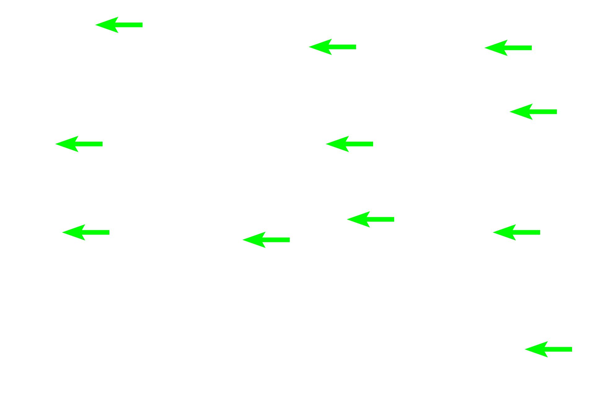 Osteocytes > <p>Osteocytes in areas of woven bone appear larger and more randomly arranged than in lamellar bone. </p>
