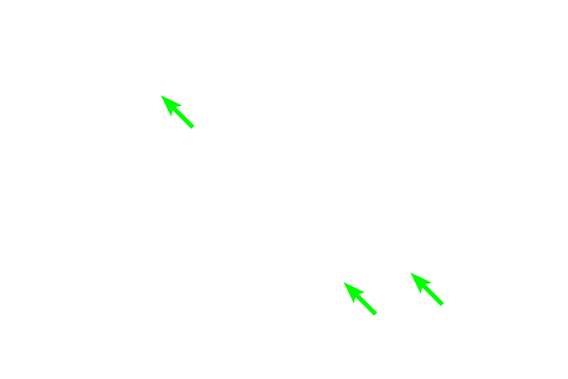Osteoblasts becoming osteocytes > <p>Osteoblasts secrete osteoid, eventually surrounding themselves in the process. Once entirely enclosed by matrix, these cells are called osteocytes.</p>
