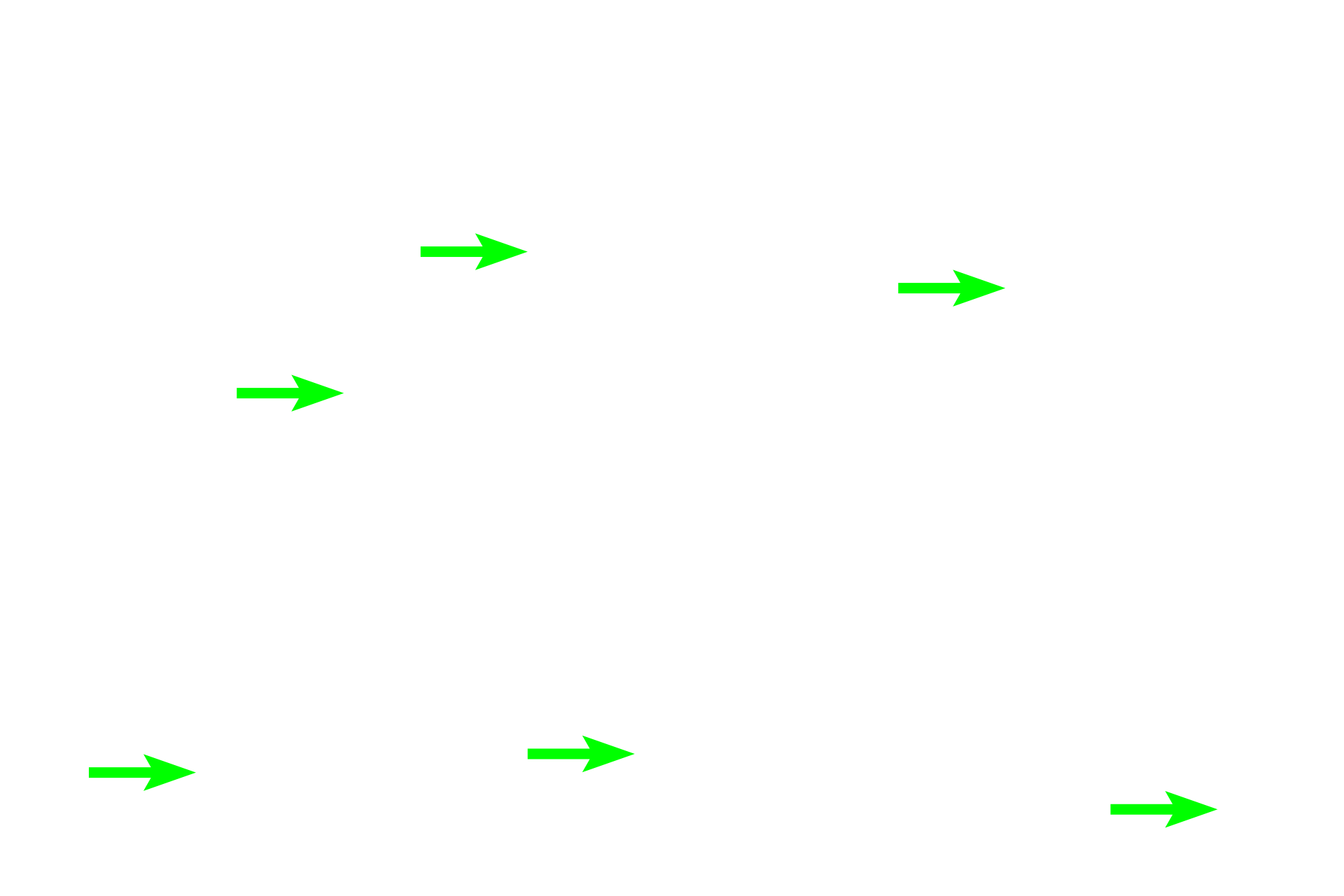 Osteocytes <p>Osteoblasts secrete osteoid, eventually surrounding themselves in the process. Once entirely enclosed by matrix, these cells are called osteocytes.</p>
