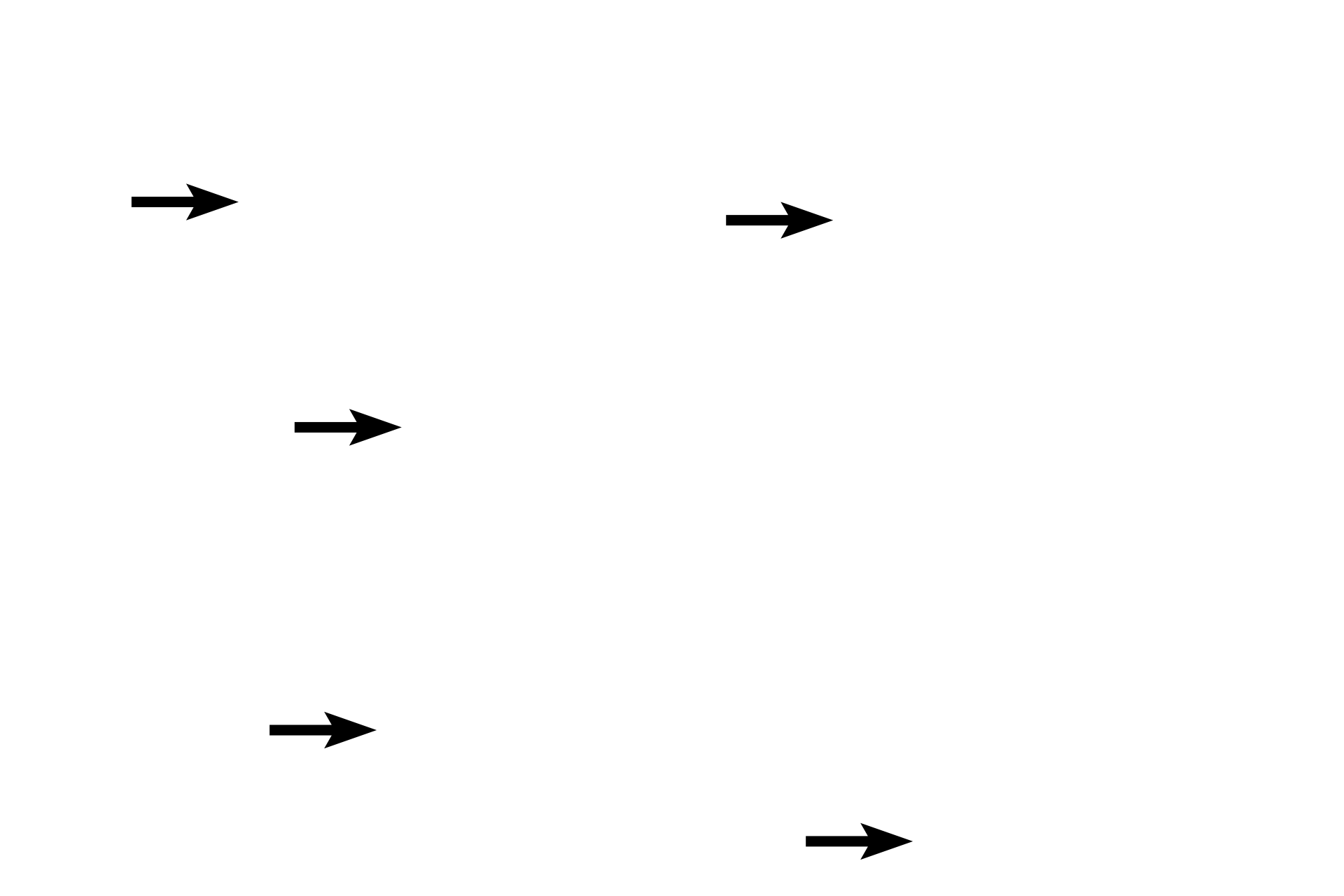 Osteocytes in lacunae > <p>Osteocytes are located within lacunae, small spaces within the mineralized bone matrix.</p>
