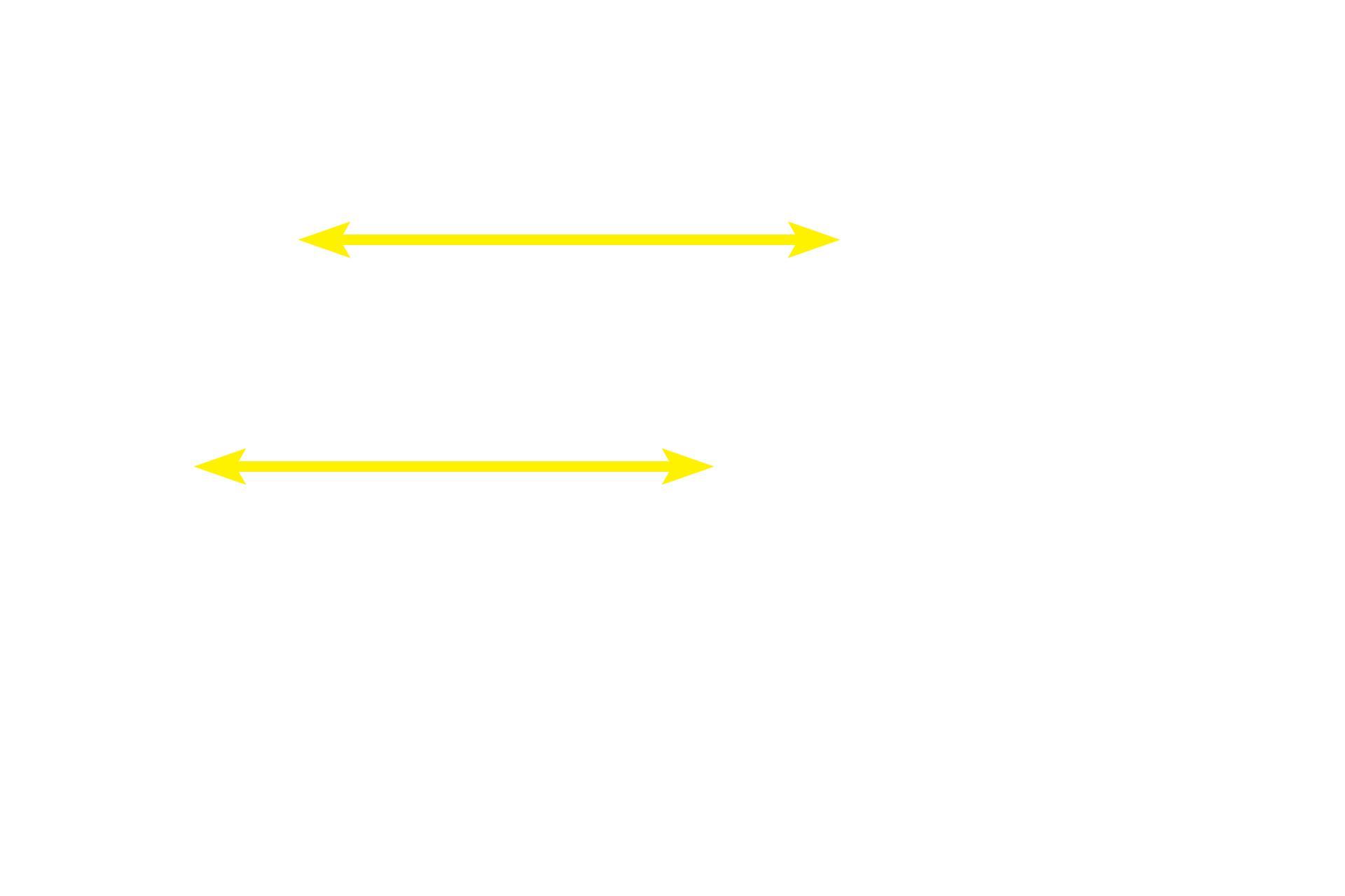 Plica circularis <p>In the duodenum, seen here, the submucosa also contains a mucus-secreting gland, named Brunner’s gland. This submucosal gland secretes an alkaline mucus that protects the intestinal mucosa from acidic gastric chyme. These glands are most numerous in the proximal regions of the duodenum. 40x </p>
