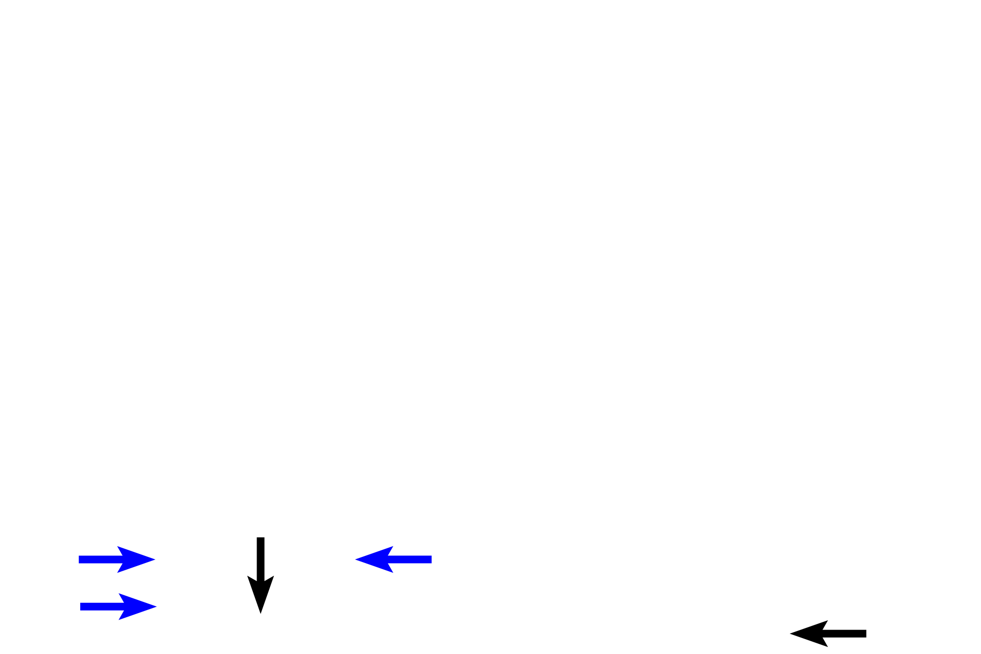Trachea > <p>The trachea begins at the inferior border of the larynx just beneath the cricoid cartilage (below line). The patency of the trachea is maintained by C-shaped, hyaline-cartilage rings (blue arrows). </p>
