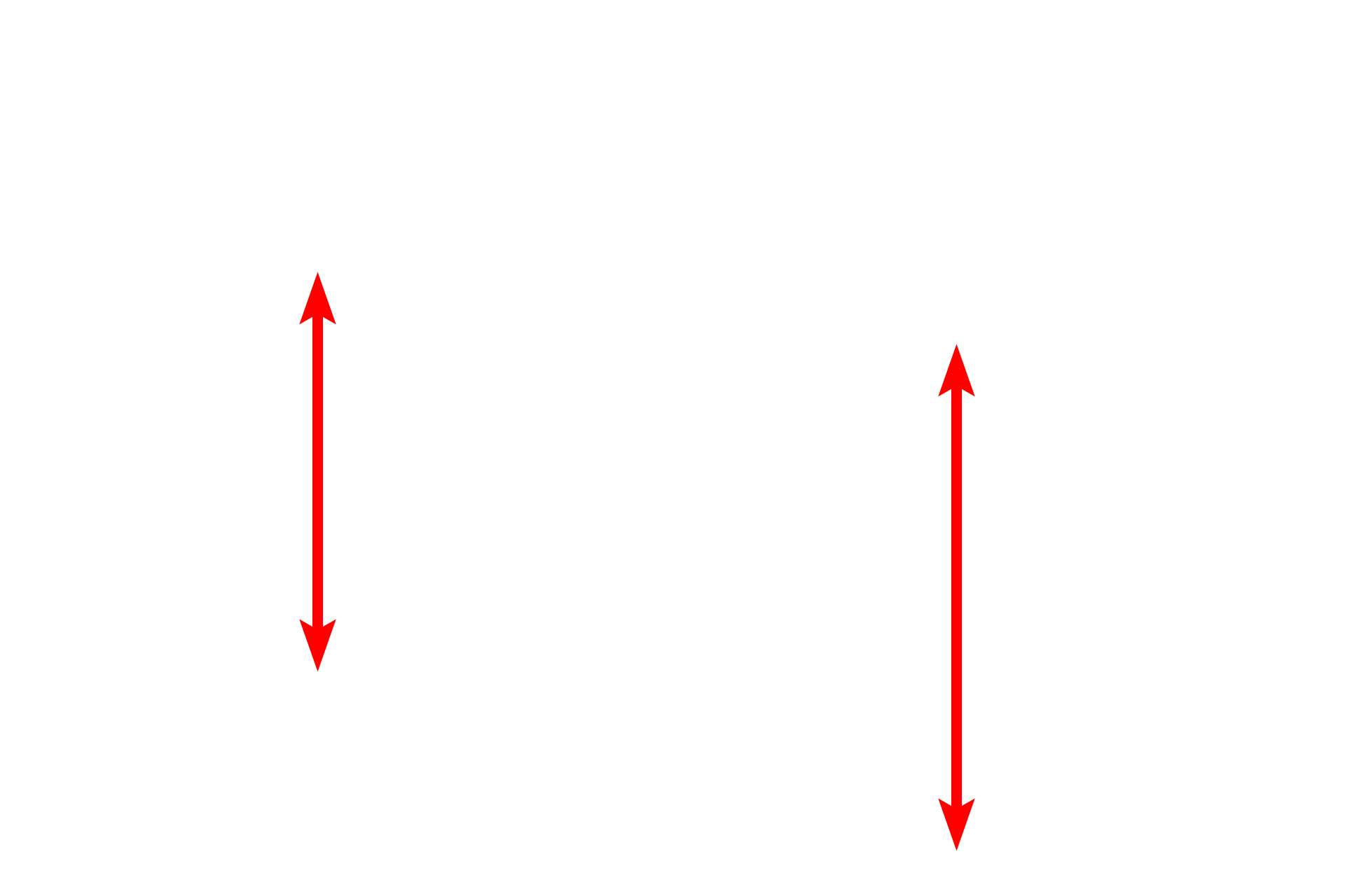 Submucosa >  <p>The distinction between the lamina propria and submucosa is not well defined. The submucosa ends as it blends with the fibrous layer of the perichondrium.</p>
