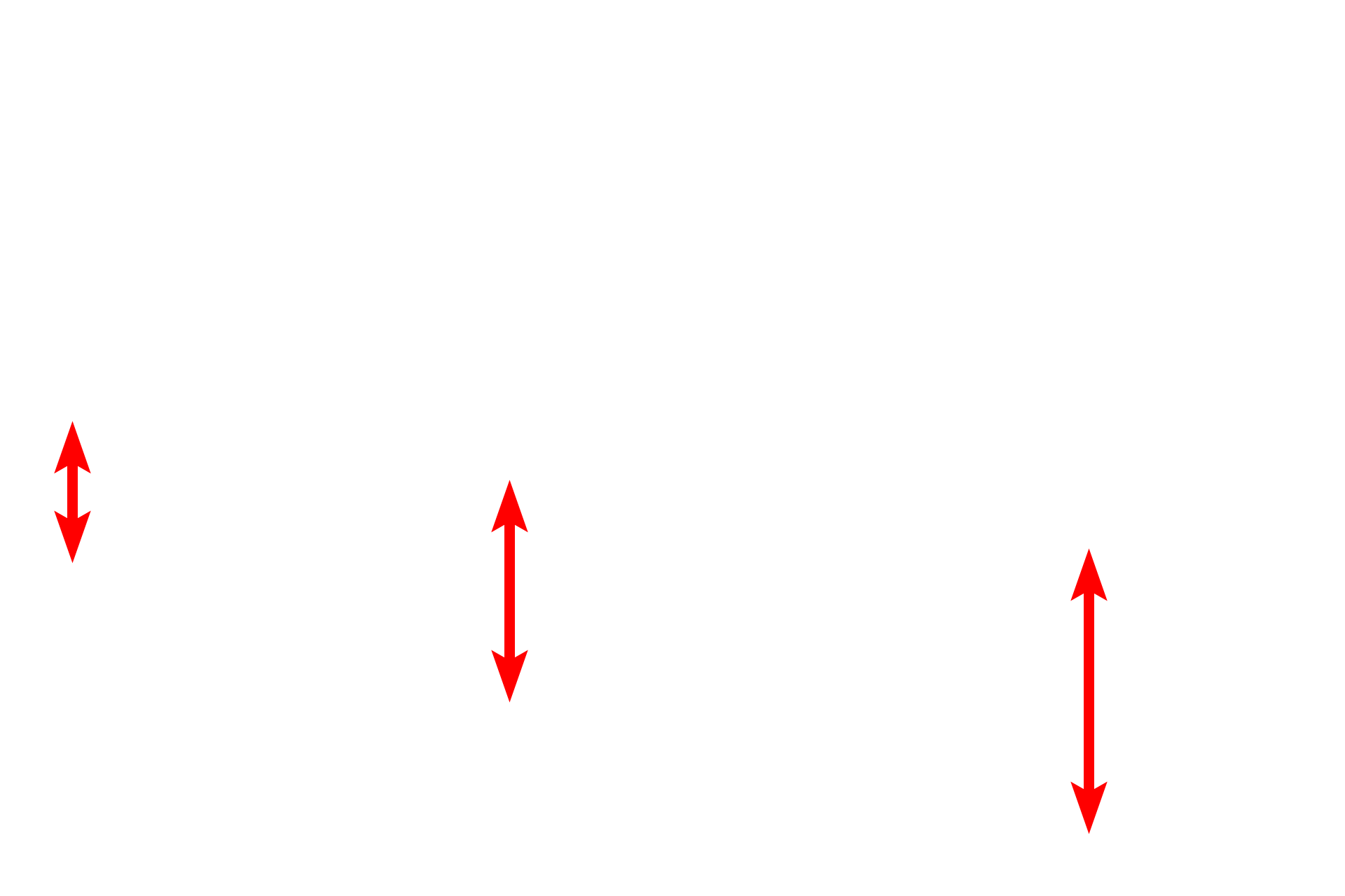 Mixed glands >  <p>Mixed glands, located in the submucosa, secrete both mucous and serous products. Their secretions moisten the surface of the epithelium as well provide a coating for these passageways that entrap inhaled dust and other particulate matter.</p>
