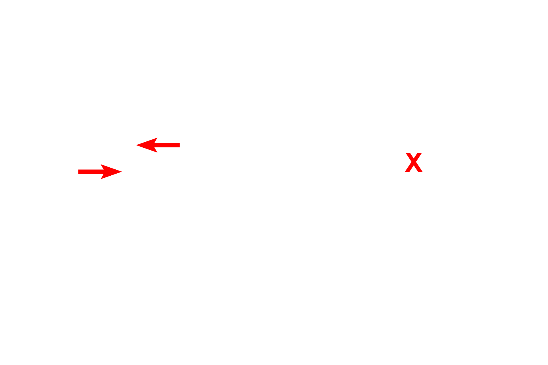Nasal cavities > <p>Respiratory passages located outside the lung are referred to as extrapulmonary.  These frontal and mid-sagittal views of the head and neck illustrate the extrapulmonary components of the conducting portion of the respiratory system.  The inset shows the trachea dividing into two primary bronchi (in red), one supplying each lung.</p>
